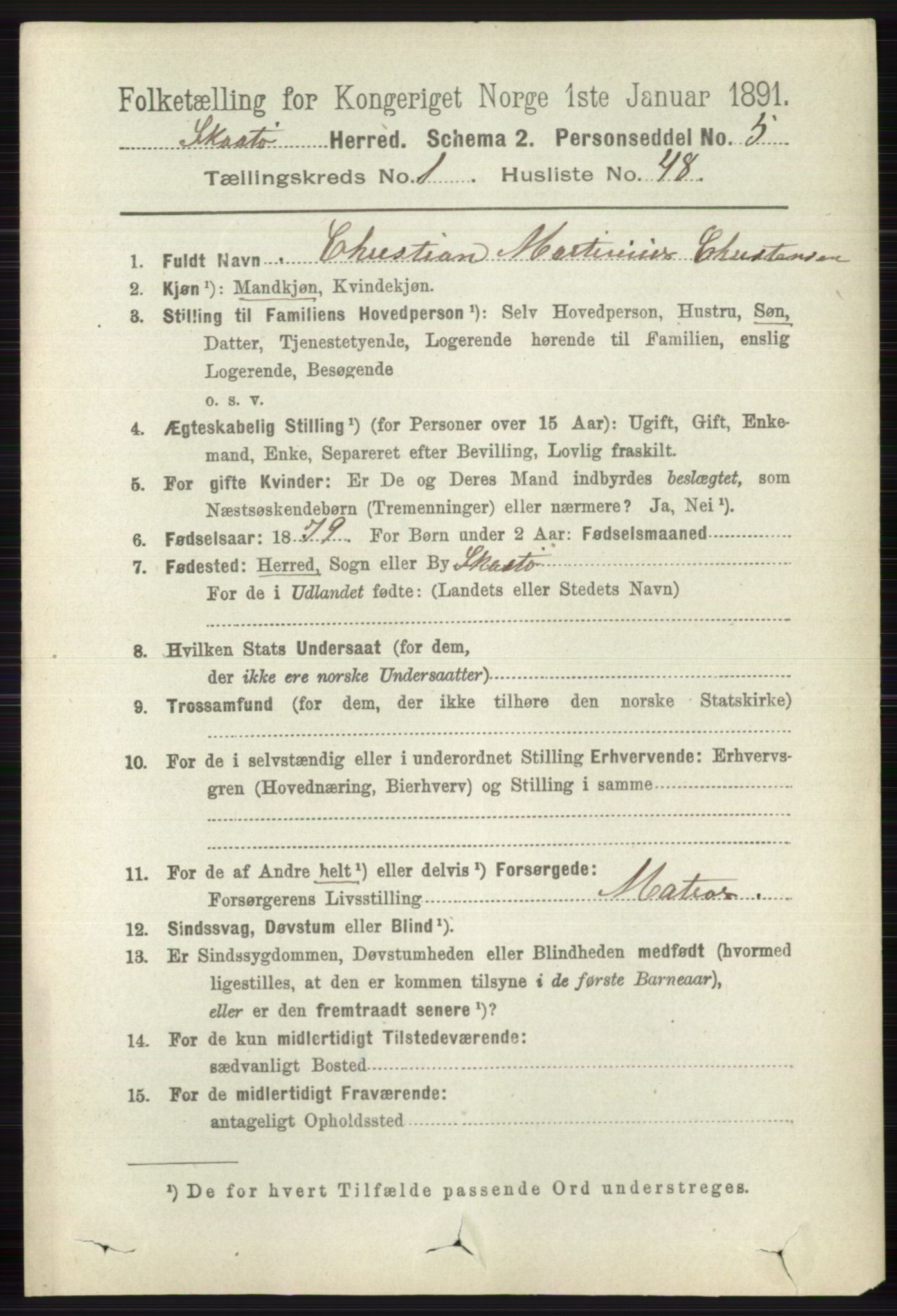 RA, 1891 census for 0815 Skåtøy, 1891, p. 373