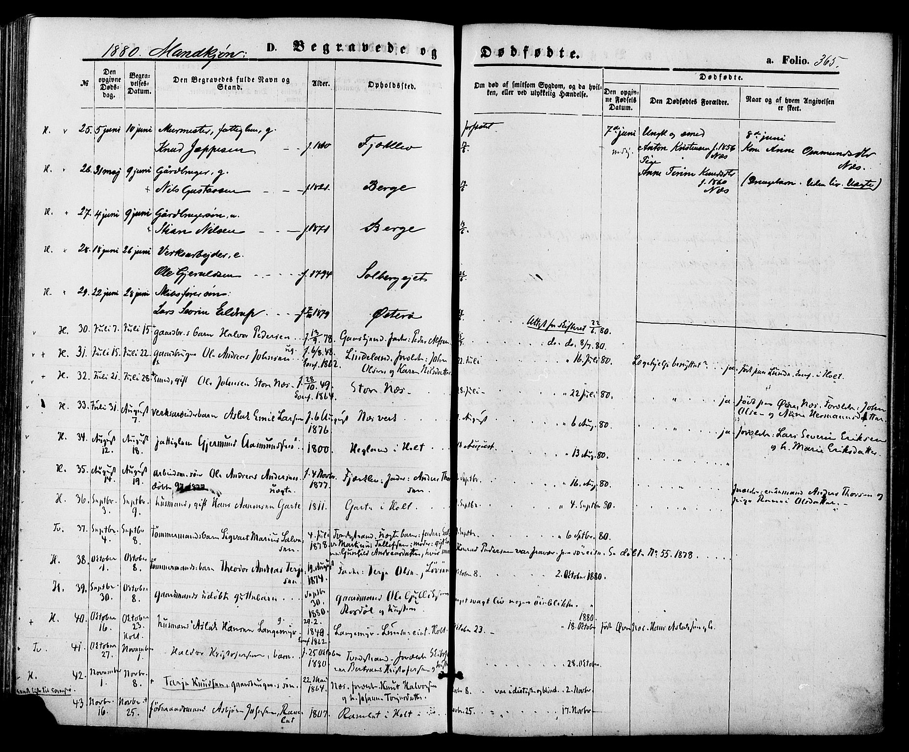 Holt sokneprestkontor, AV/SAK-1111-0021/F/Fa/L0010: Parish register (official) no. A 10, 1872-1885, p. 365