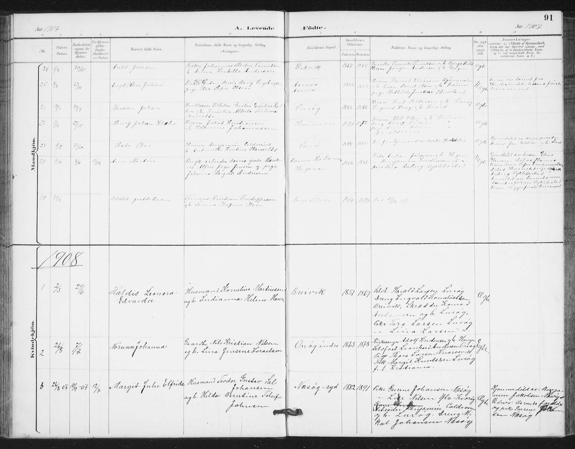 Ministerialprotokoller, klokkerbøker og fødselsregistre - Nordland, AV/SAT-A-1459/839/L0573: Parish register (copy) no. 839C03, 1892-1917, p. 91