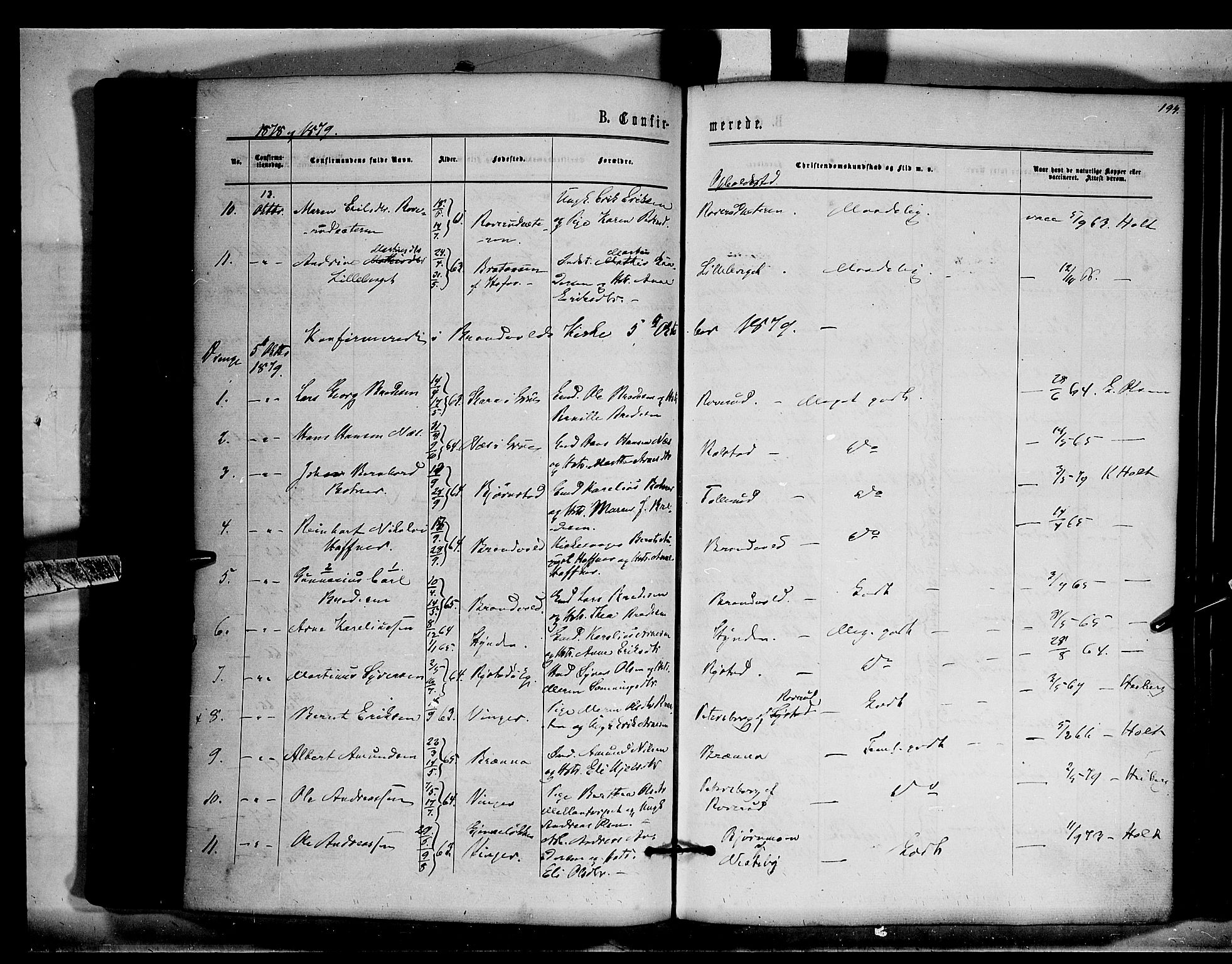 Brandval prestekontor, SAH/PREST-034/H/Ha/Haa/L0001: Parish register (official) no. 1, 1864-1879, p. 194