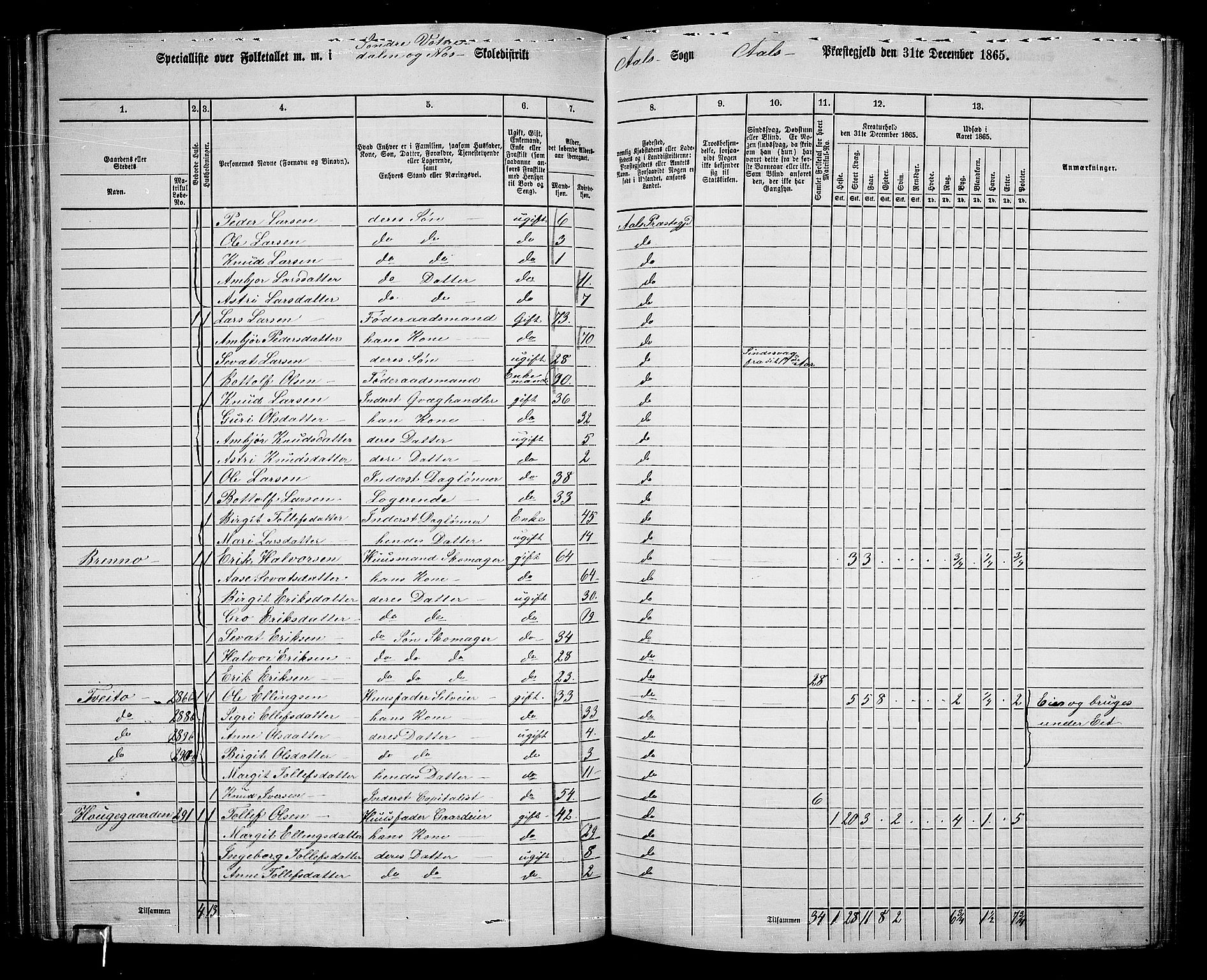 RA, 1865 census for Ål, 1865, p. 82