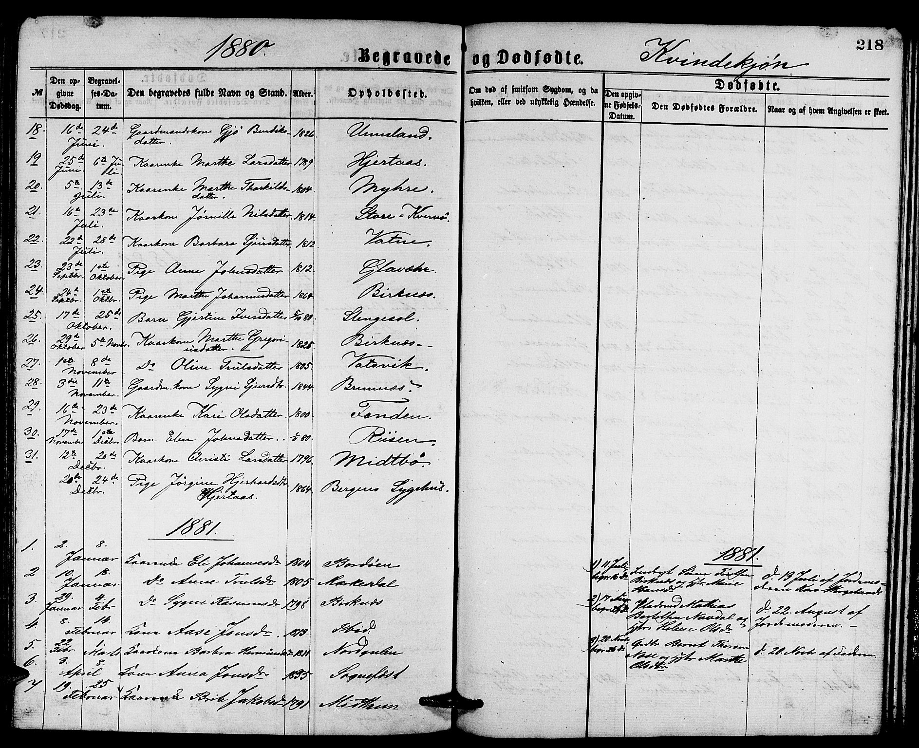 Gulen sokneprestembete, SAB/A-80201/H/Hab/Habb/L0002: Parish register (copy) no. B 2, 1867-1883, p. 218