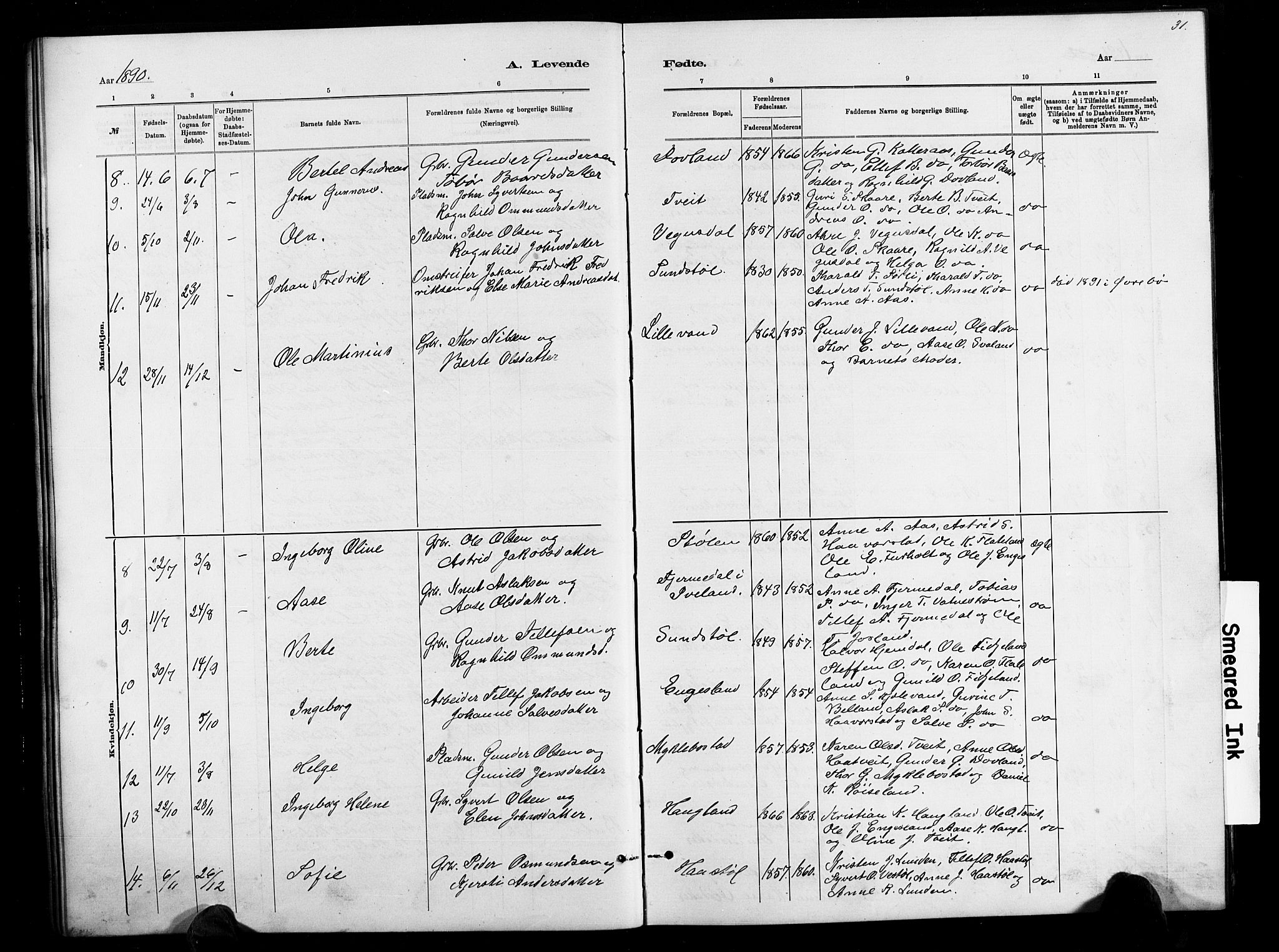 Herefoss sokneprestkontor, AV/SAK-1111-0019/F/Fb/Fbb/L0002: Parish register (copy) no. B 2, 1879-1894, p. 31