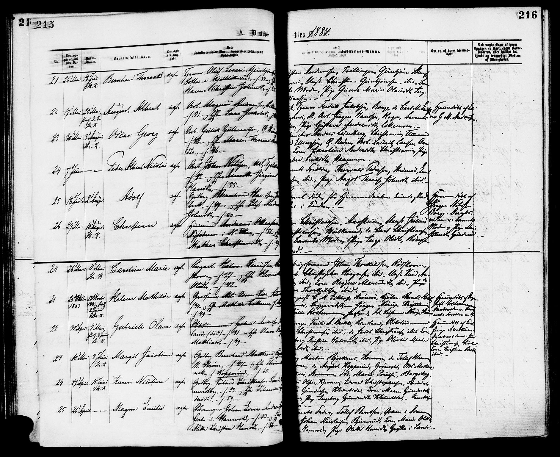 Skoger kirkebøker, SAKO/A-59/F/Fa/L0005: Parish register (official) no. I 5, 1873-1884, p. 215-216