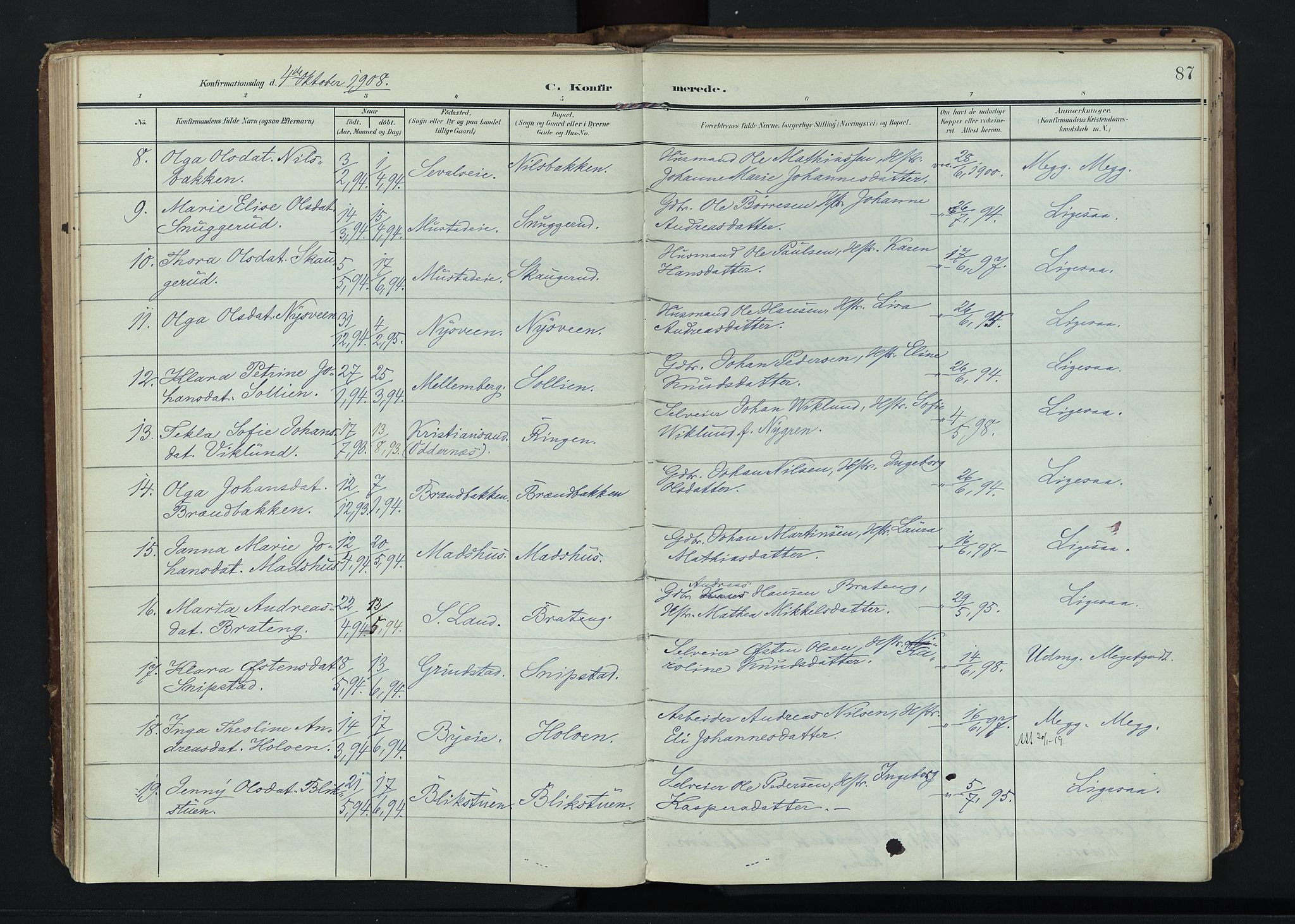 Vardal prestekontor, SAH/PREST-100/H/Ha/Haa/L0020: Parish register (official) no. 20, 1907-1921, p. 87