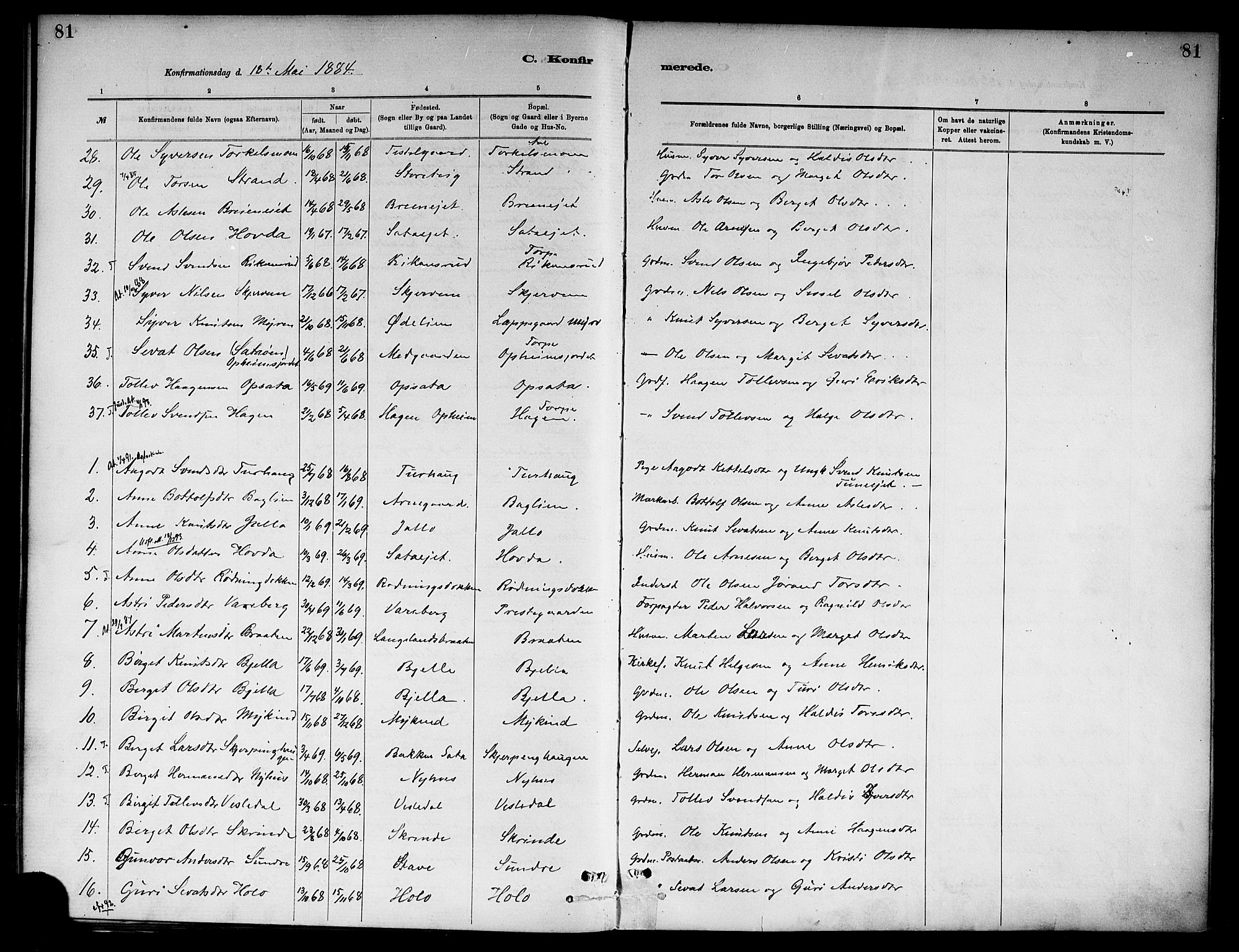 Ål kirkebøker, SAKO/A-249/F/Fa/L0008: Parish register (official) no. I 8, 1882-1896, p. 81