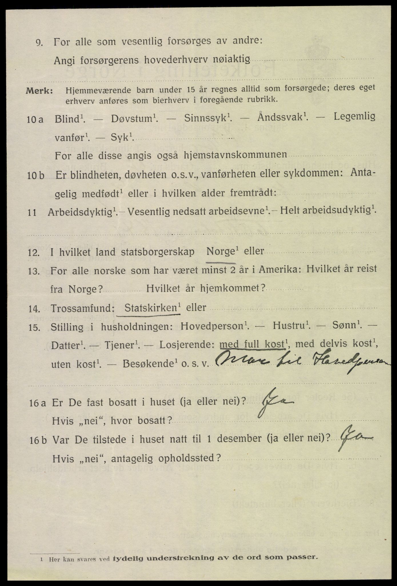 SAH, 1920 census for Vang (Hedmark), 1920, p. 17020