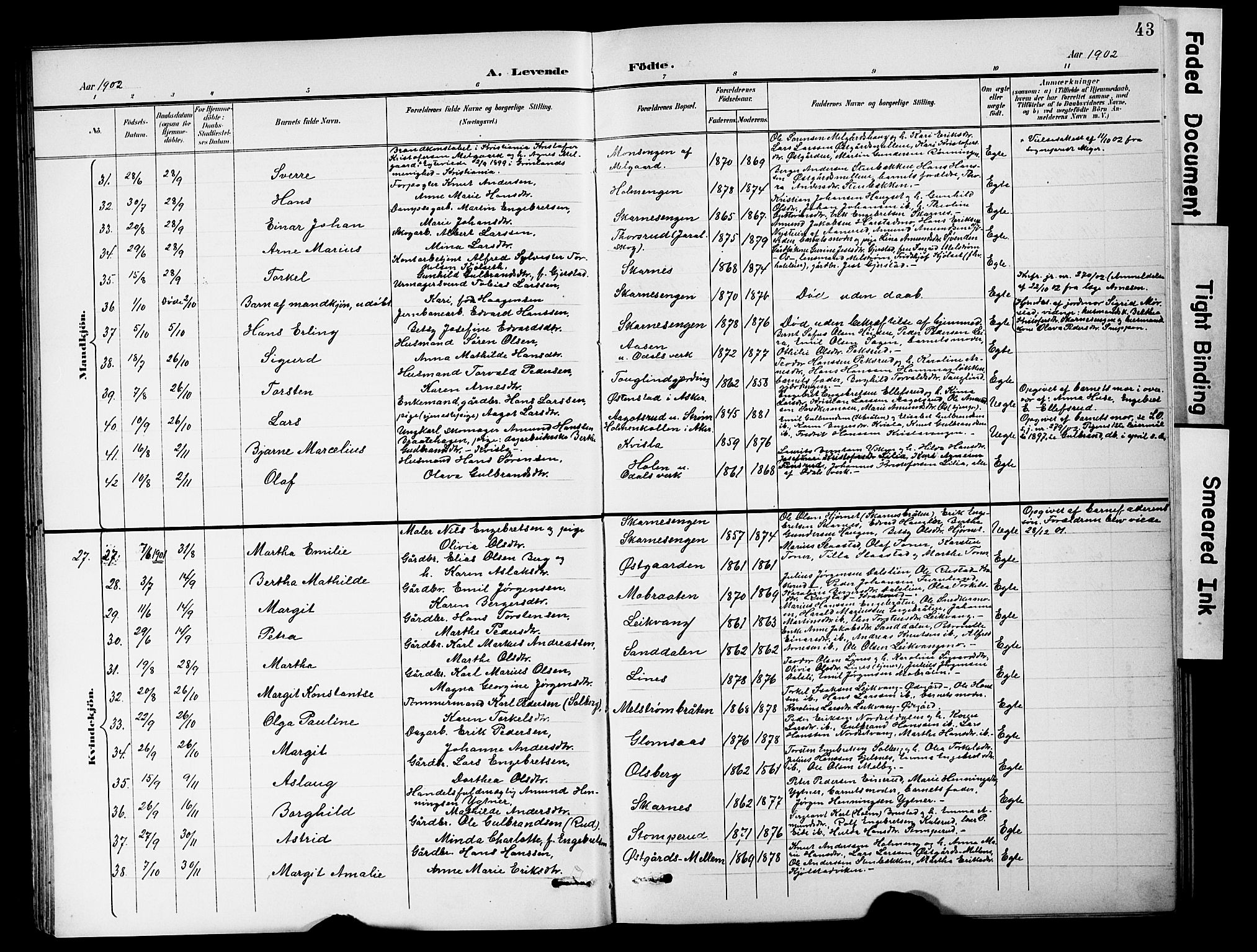 Sør-Odal prestekontor, AV/SAH-PREST-030/H/Ha/Hab/L0001: Parish register (copy) no. 1, 1895-1902, p. 43