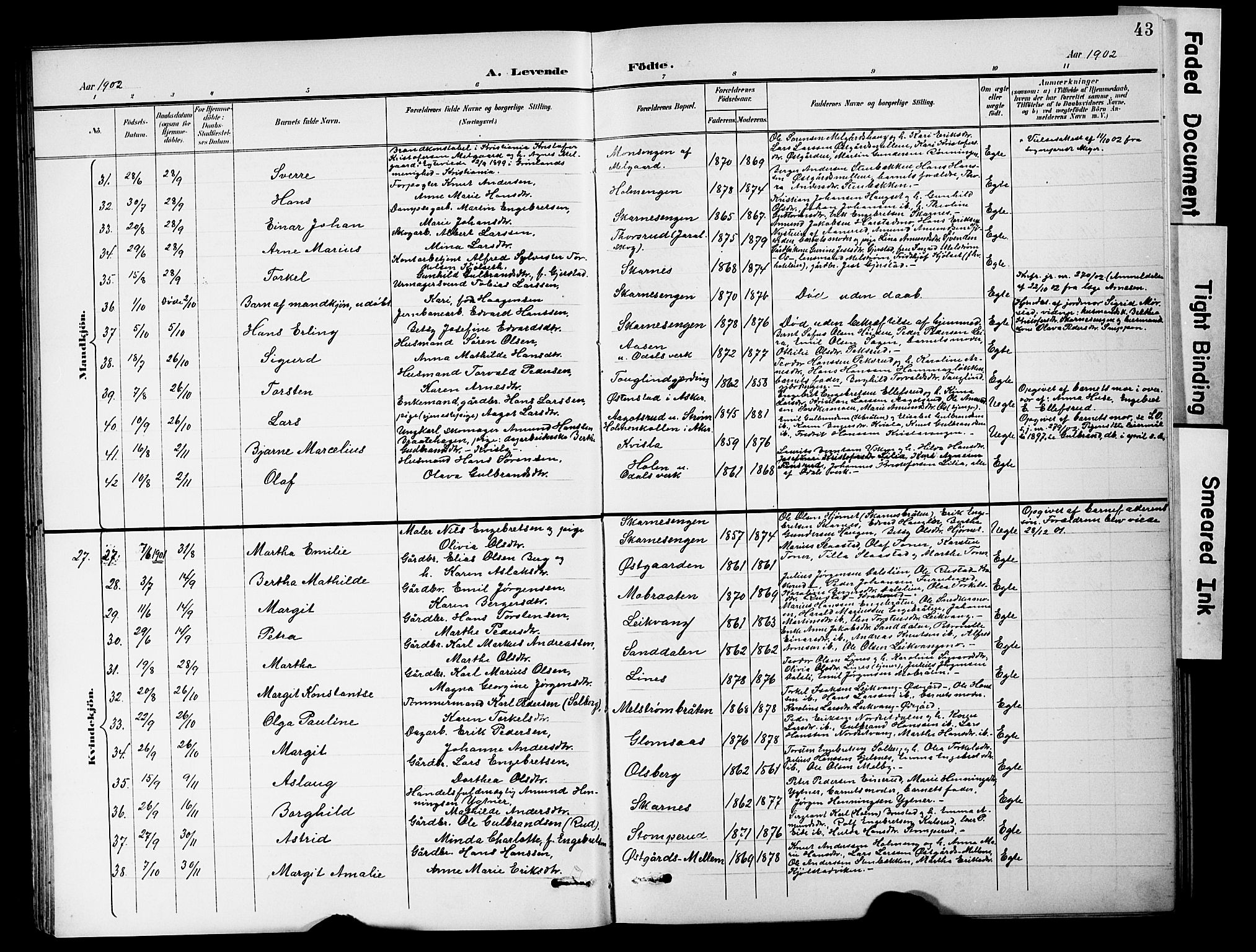 Sør-Odal prestekontor, SAH/PREST-030/H/Ha/Hab/L0001: Parish register (copy) no. 1, 1895-1902, p. 43