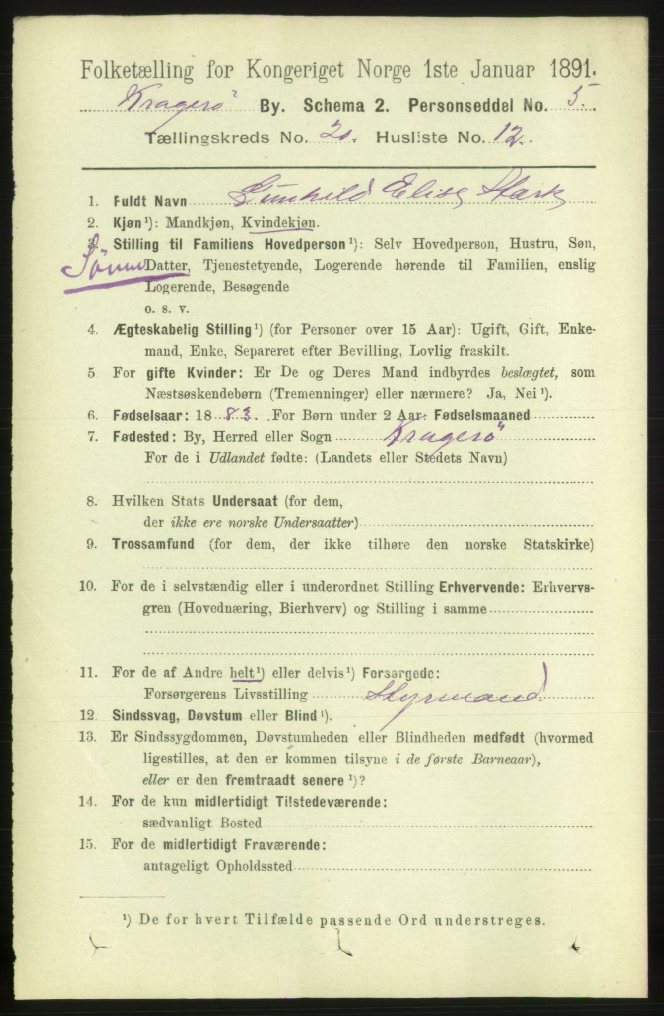 RA, 1891 census for 0801 Kragerø, 1891, p. 4694