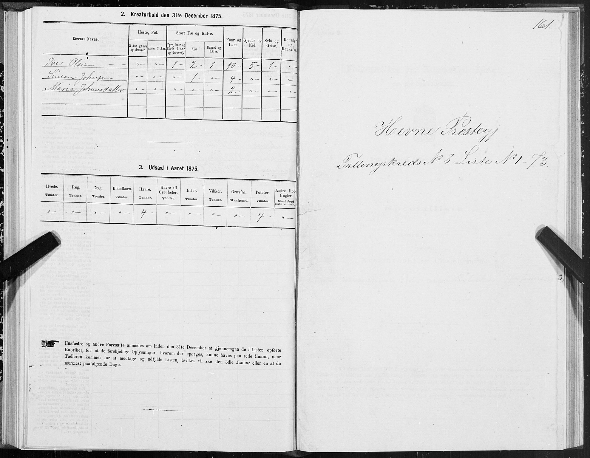 SAT, 1875 census for 1612P Hemne, 1875, p. 4161