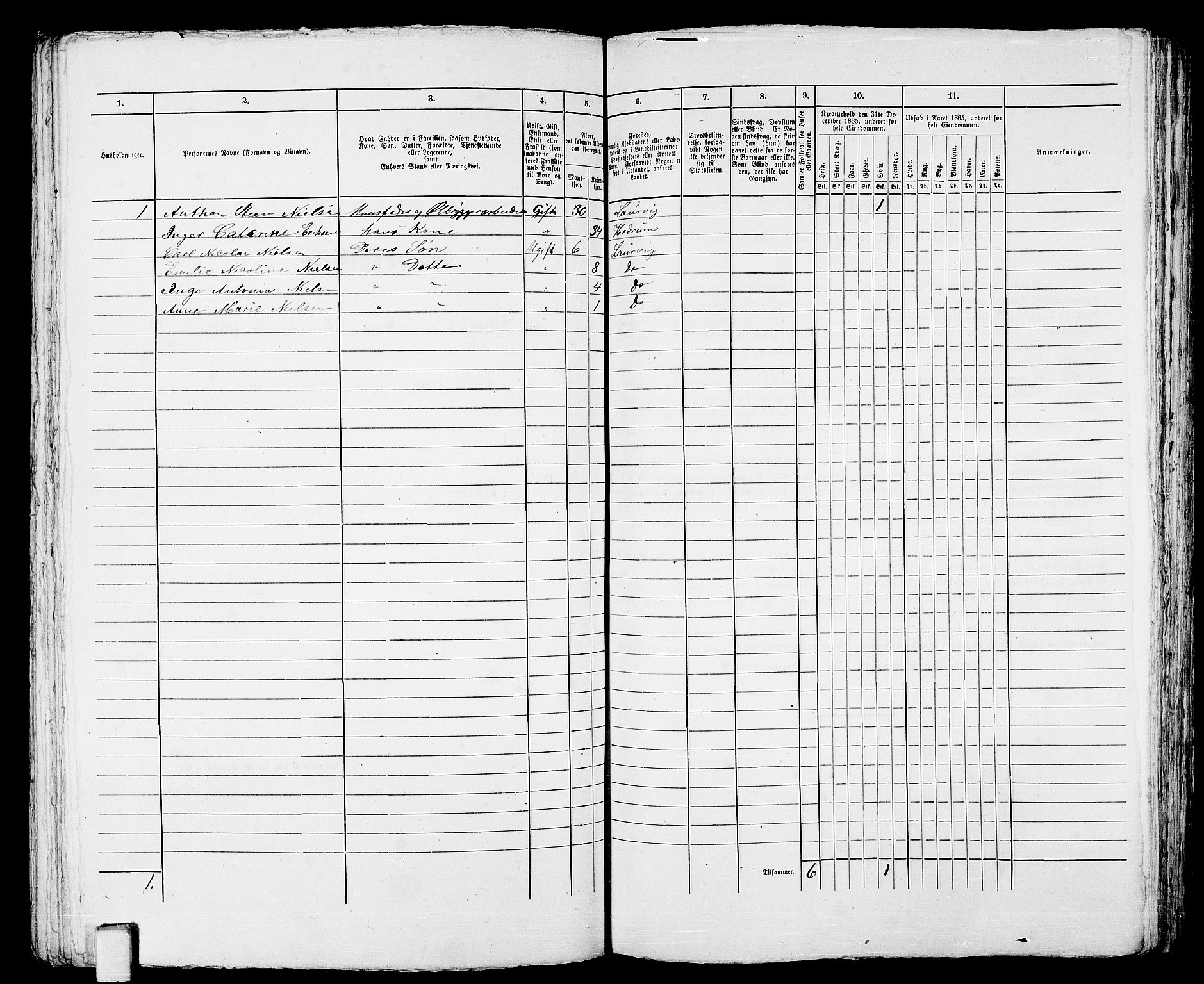 RA, 1865 census for Larvik, 1865, p. 290