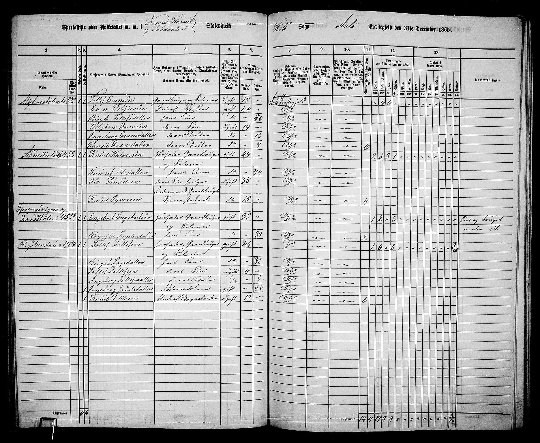 RA, 1865 census for Ål, 1865, p. 223