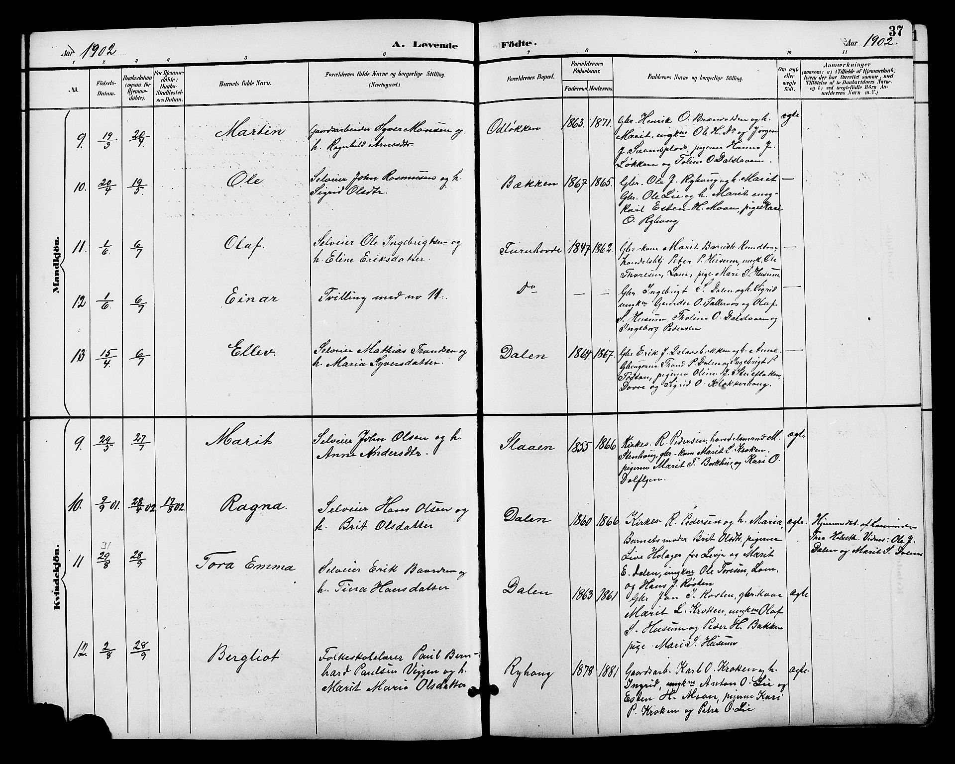 Alvdal prestekontor, AV/SAH-PREST-060/H/Ha/Hab/L0004: Parish register (copy) no. 4, 1894-1910, p. 37