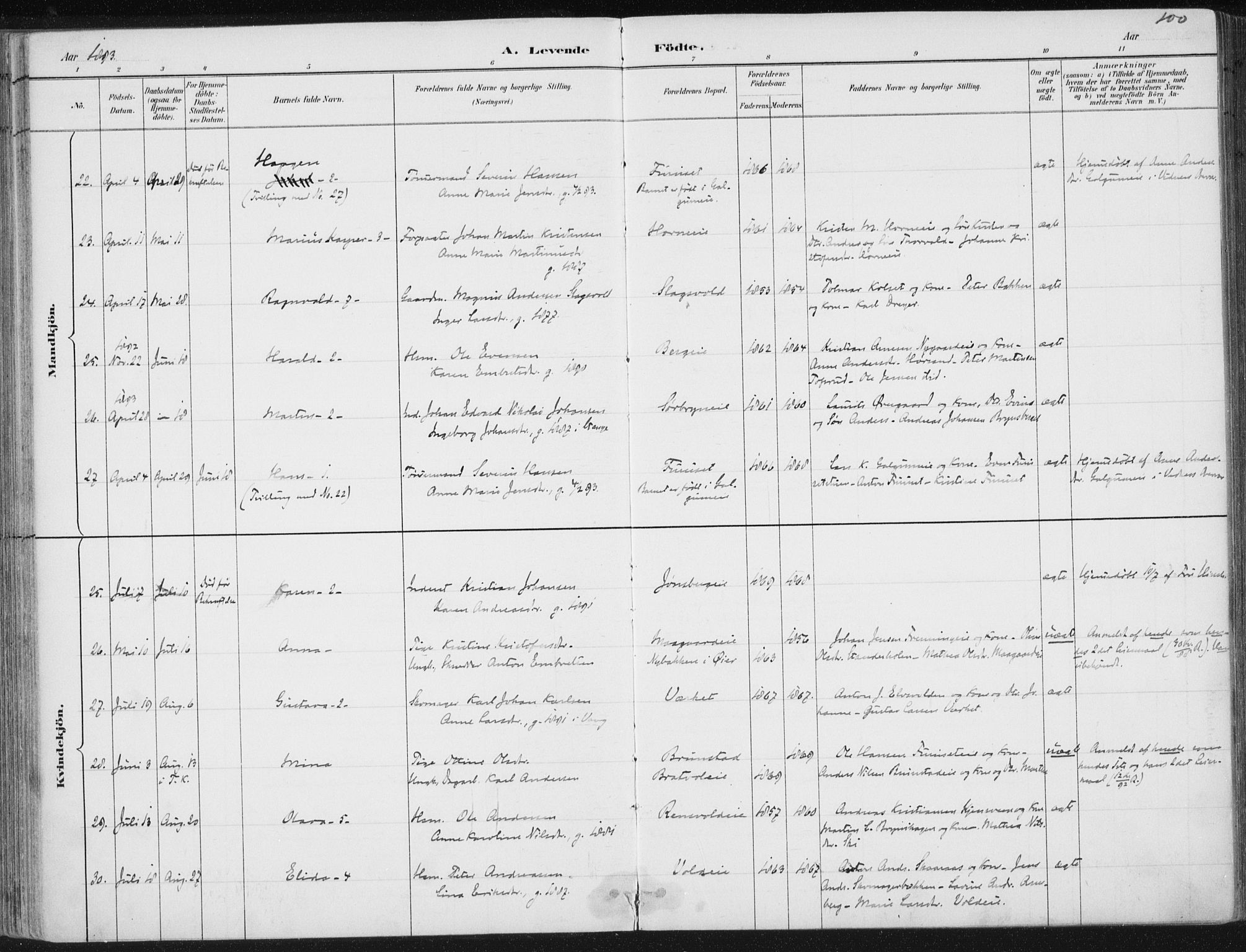 Romedal prestekontor, AV/SAH-PREST-004/K/L0010: Parish register (official) no. 10, 1880-1895, p. 100