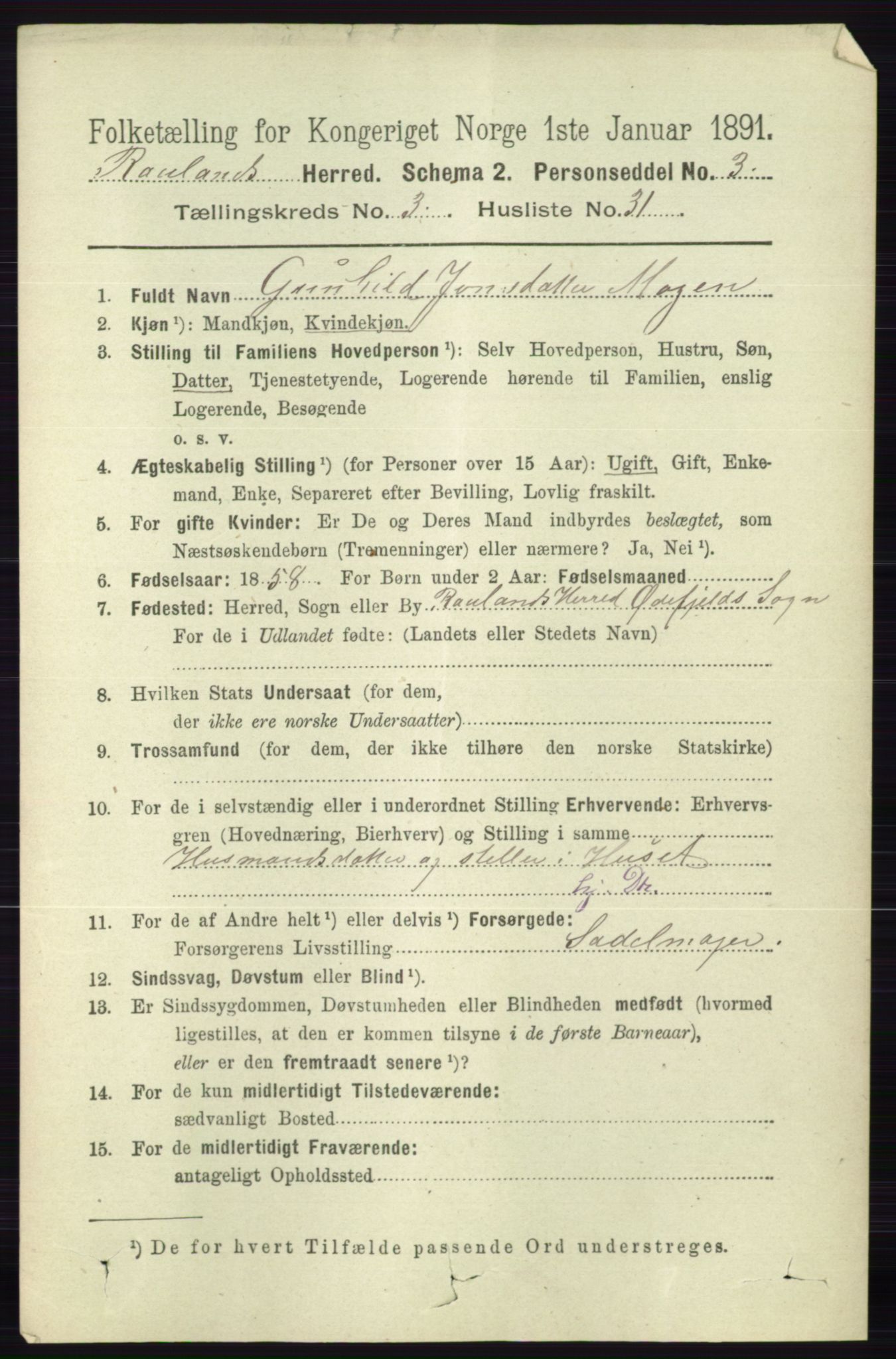 RA, 1891 census for 0835 Rauland, 1891, p. 980