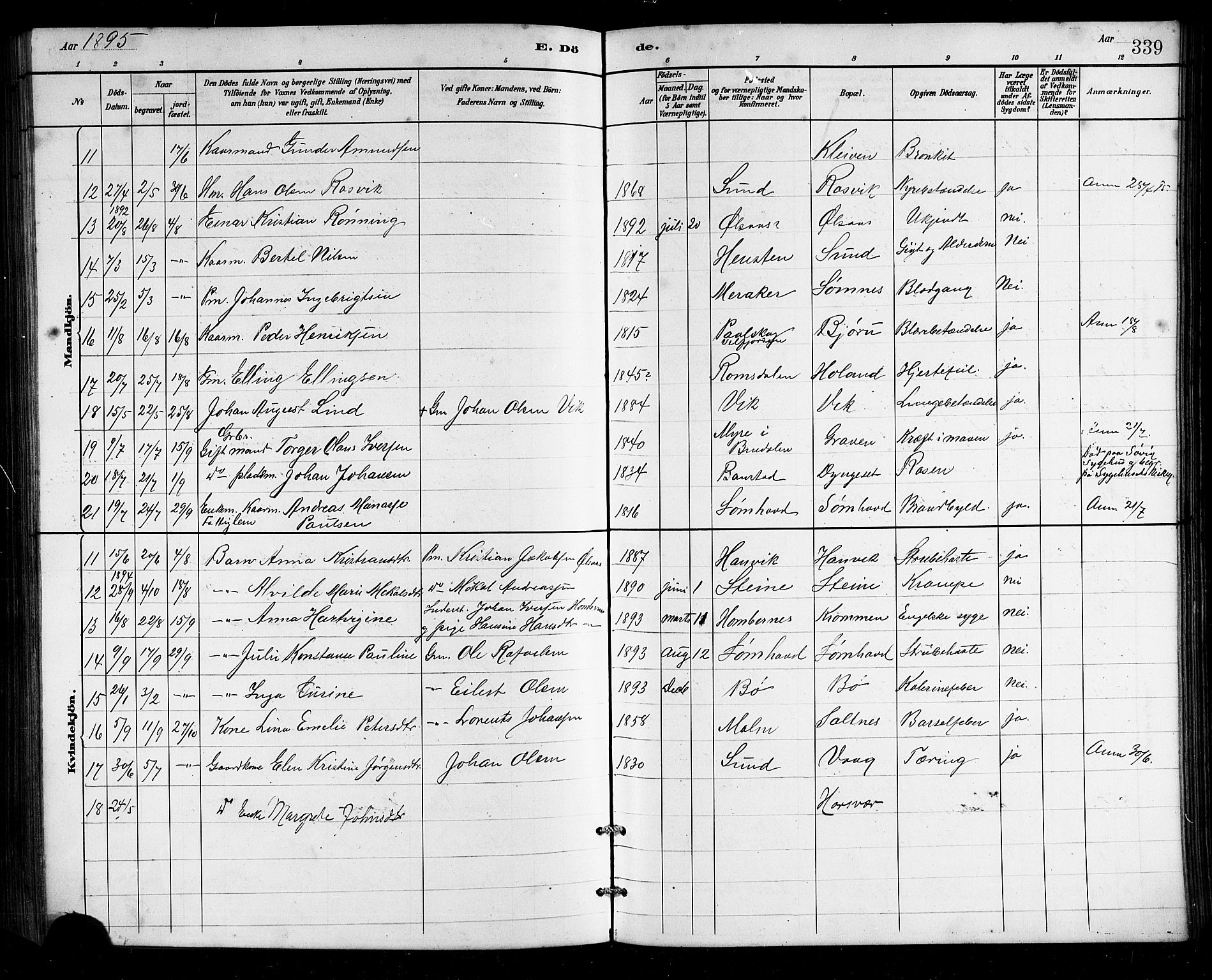 Ministerialprotokoller, klokkerbøker og fødselsregistre - Nordland, SAT/A-1459/812/L0188: Parish register (copy) no. 812C06, 1884-1912, p. 339