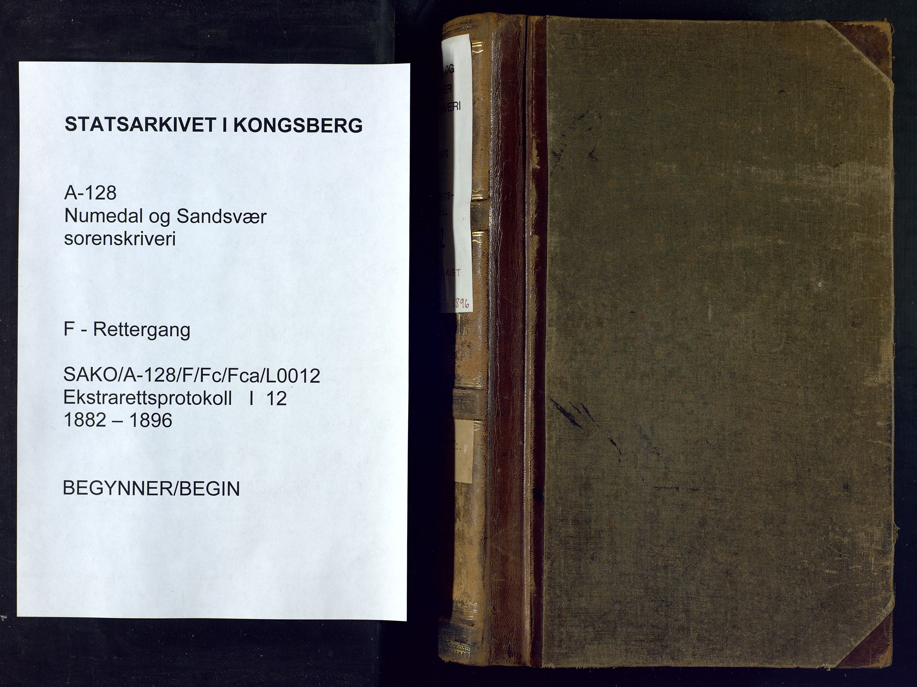 Numedal og Sandsvær sorenskriveri, AV/SAKO-A-128/F/Fc/Fca/L0012: Ekstrarettsprotokoll , 1882-1896