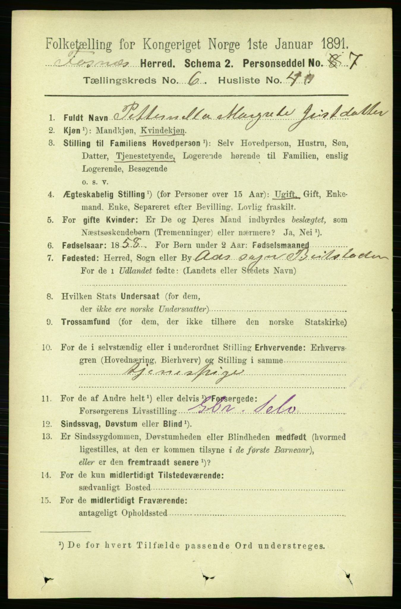 RA, 1891 census for 1748 Fosnes, 1891, p. 3032