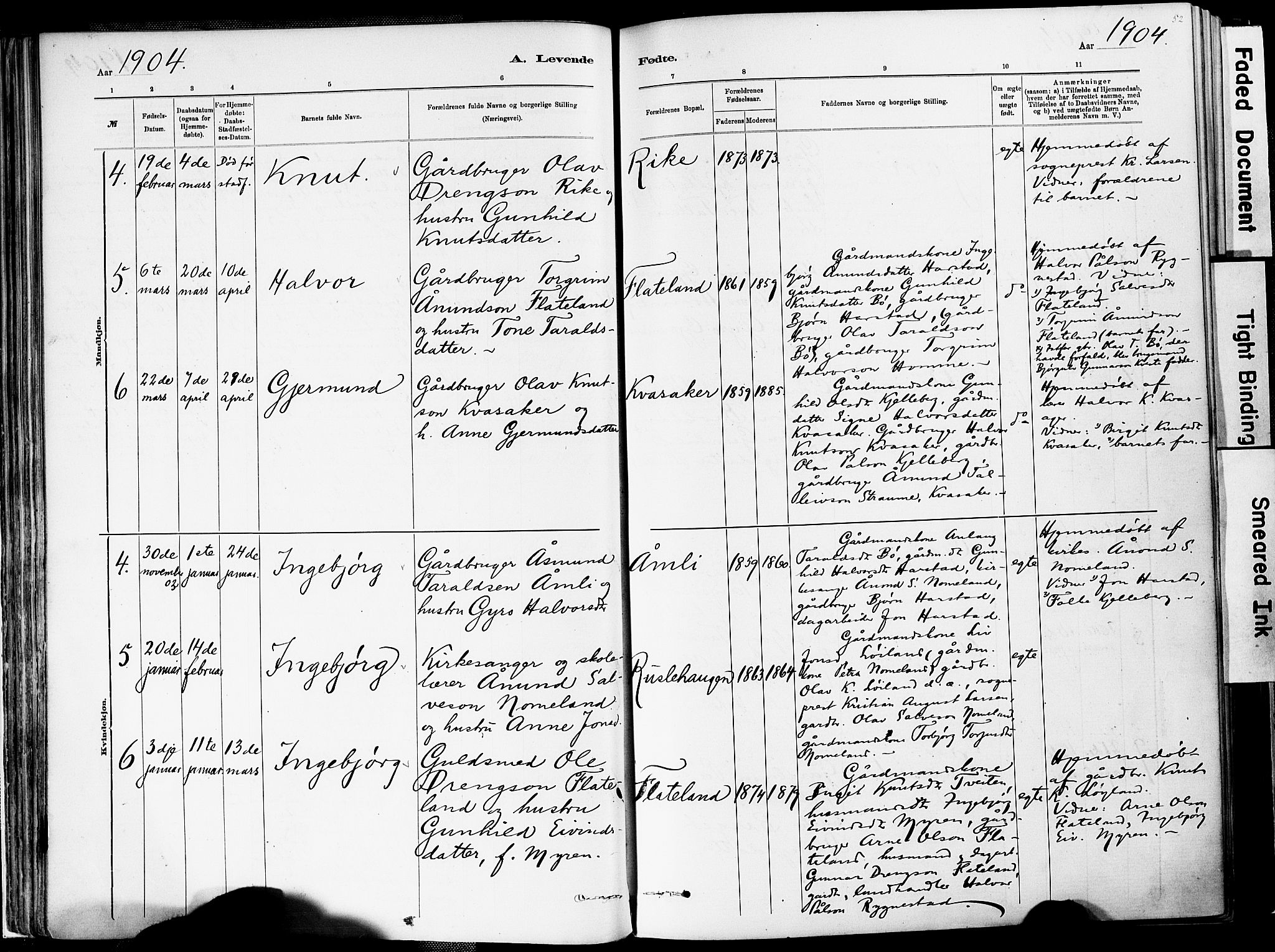 Valle sokneprestkontor, AV/SAK-1111-0044/F/Fa/Fac/L0009: Parish register (official) no. A 9, 1882-1913, p. 52