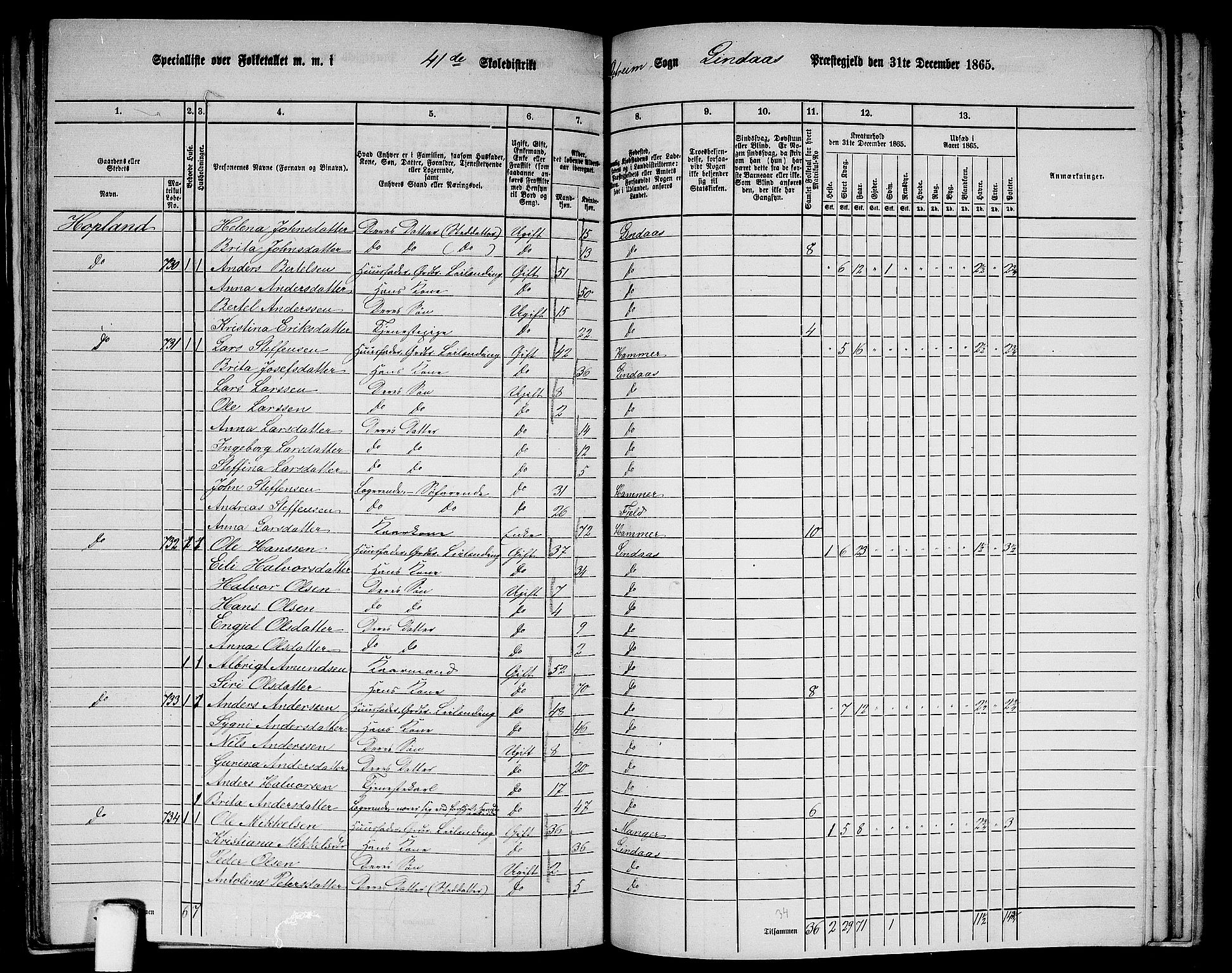 RA, 1865 census for Lindås, 1865, p. 263