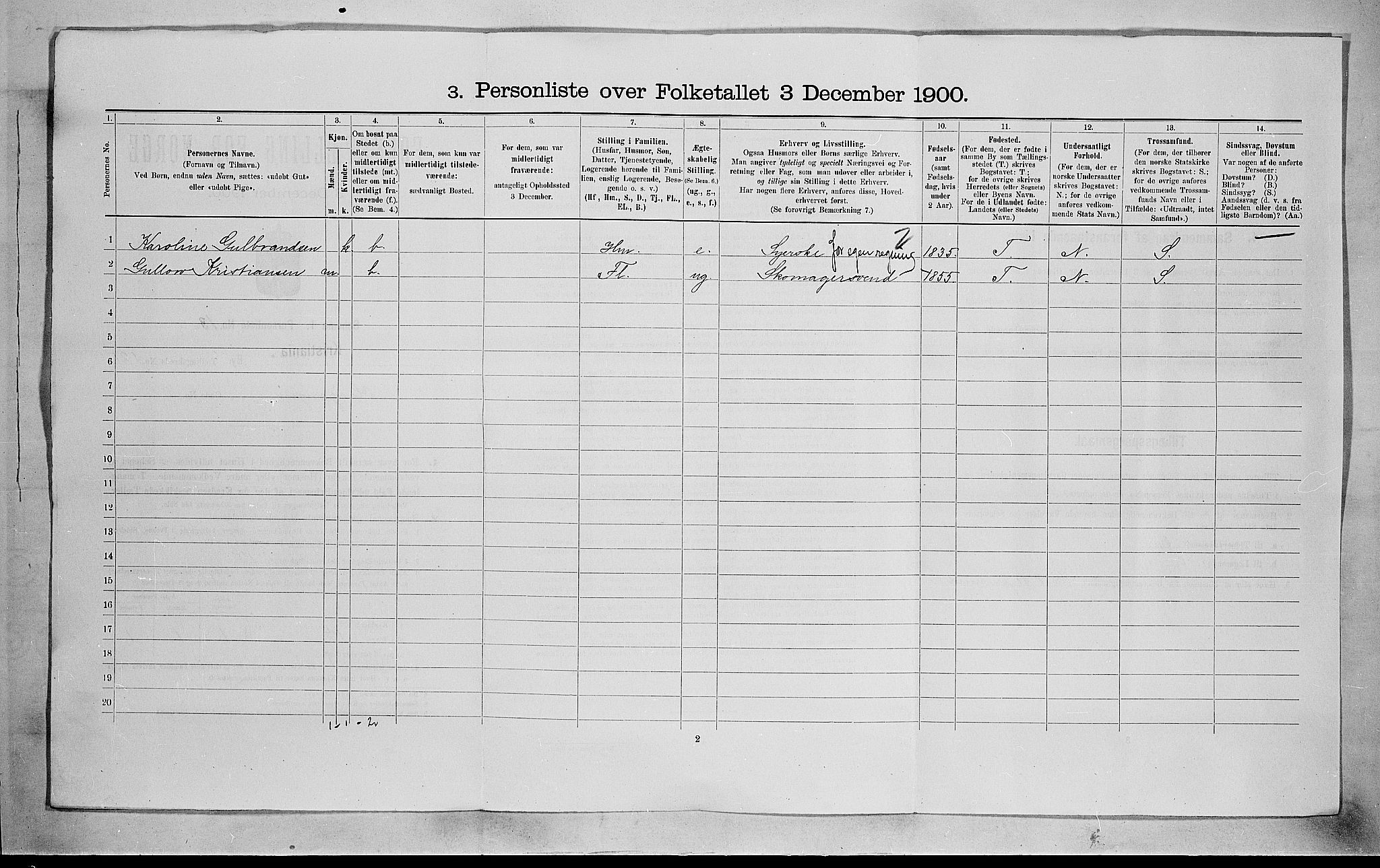 SAO, 1900 census for Kristiania, 1900, p. 31595