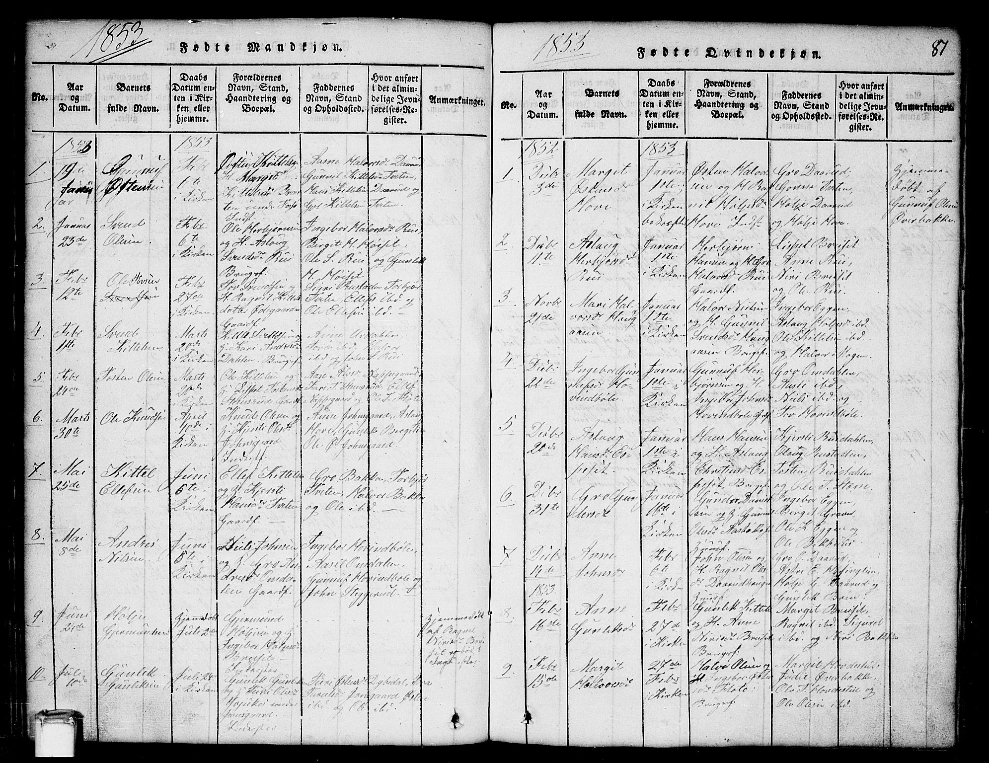 Gransherad kirkebøker, SAKO/A-267/G/Gb/L0001: Parish register (copy) no. II 1, 1815-1860, p. 81
