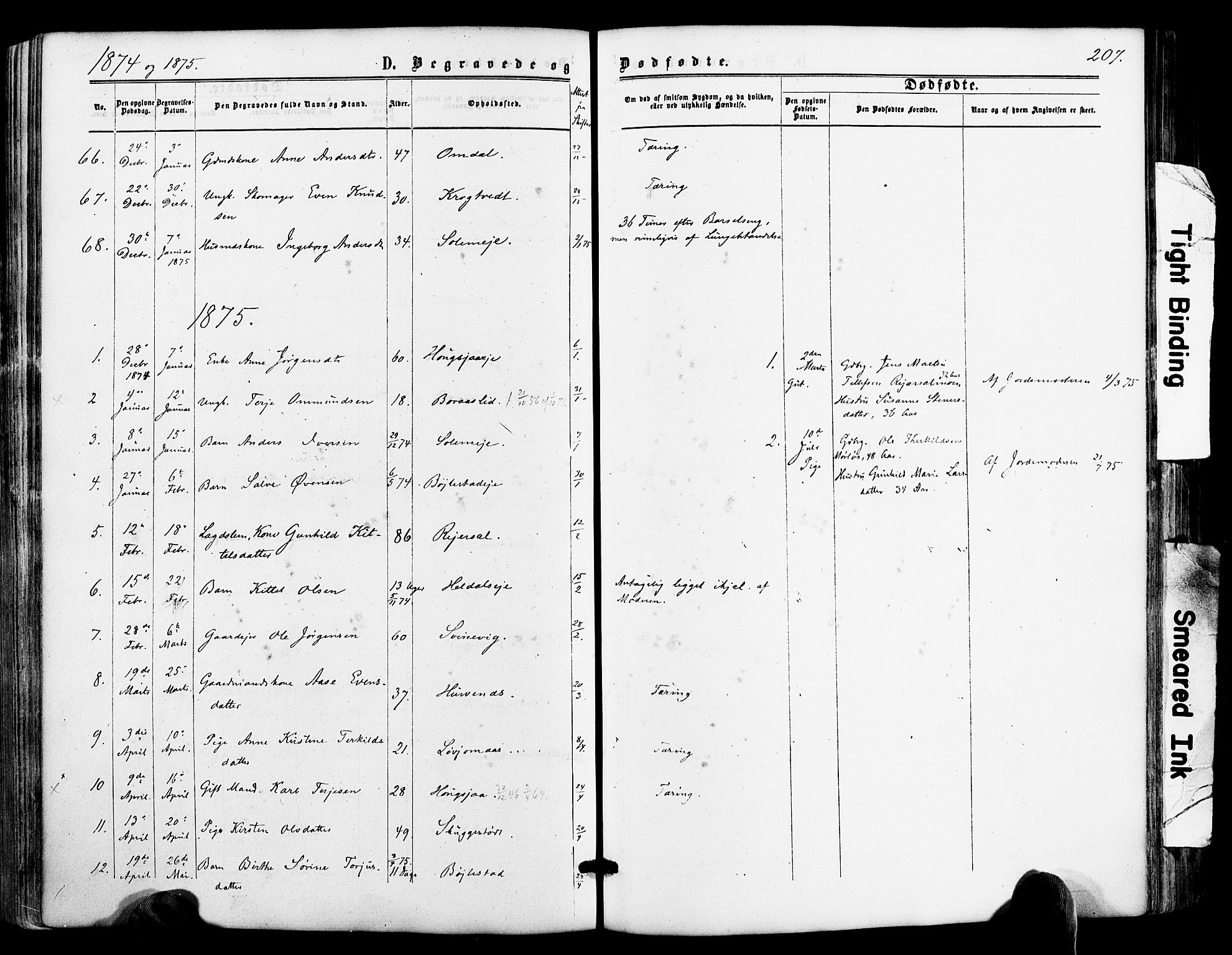 Froland sokneprestkontor, AV/SAK-1111-0013/F/Fa/L0003: Parish register (official) no. A 3, 1864-1881, p. 207