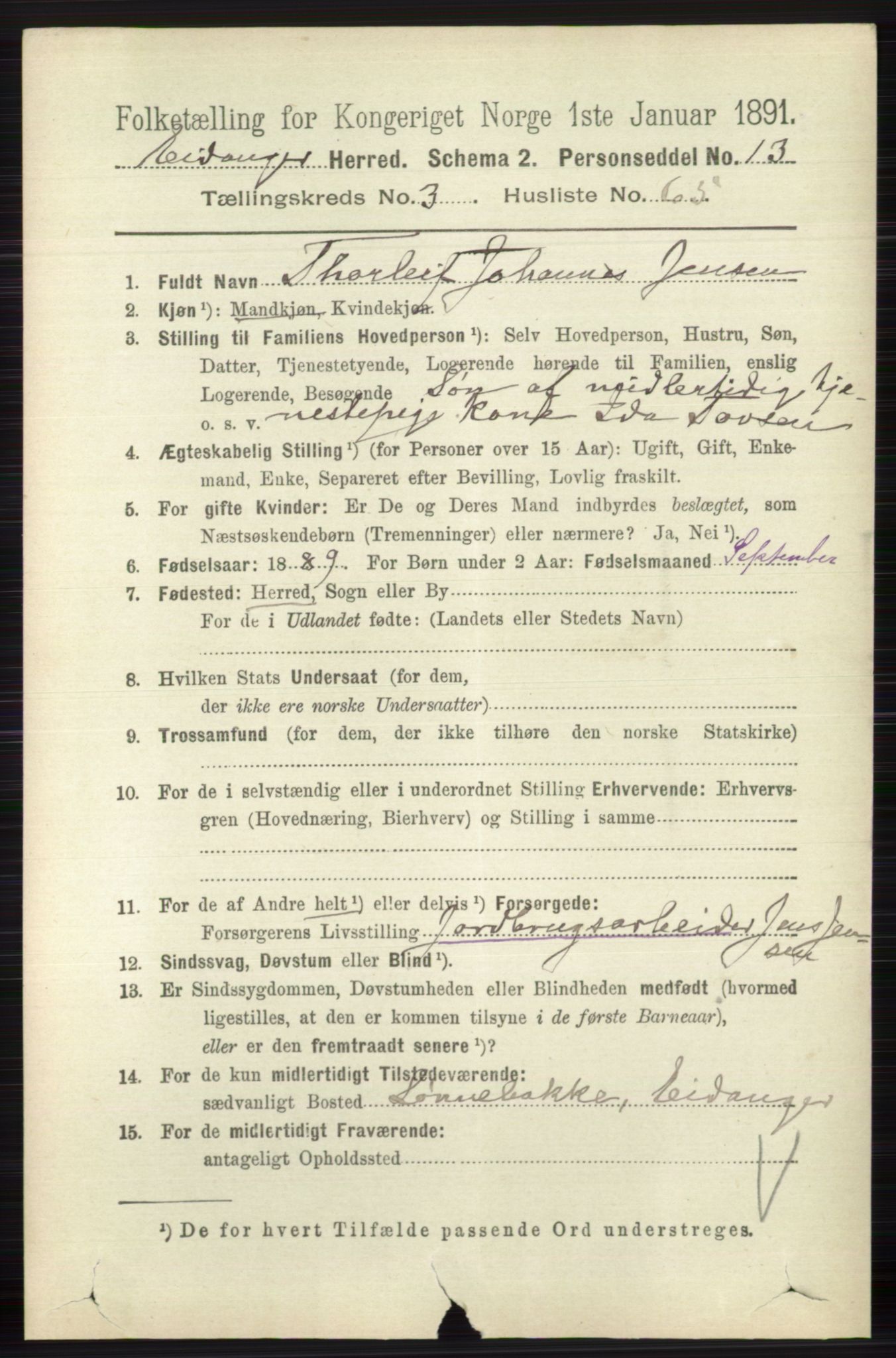 RA, 1891 census for 0813 Eidanger, 1891, p. 1888