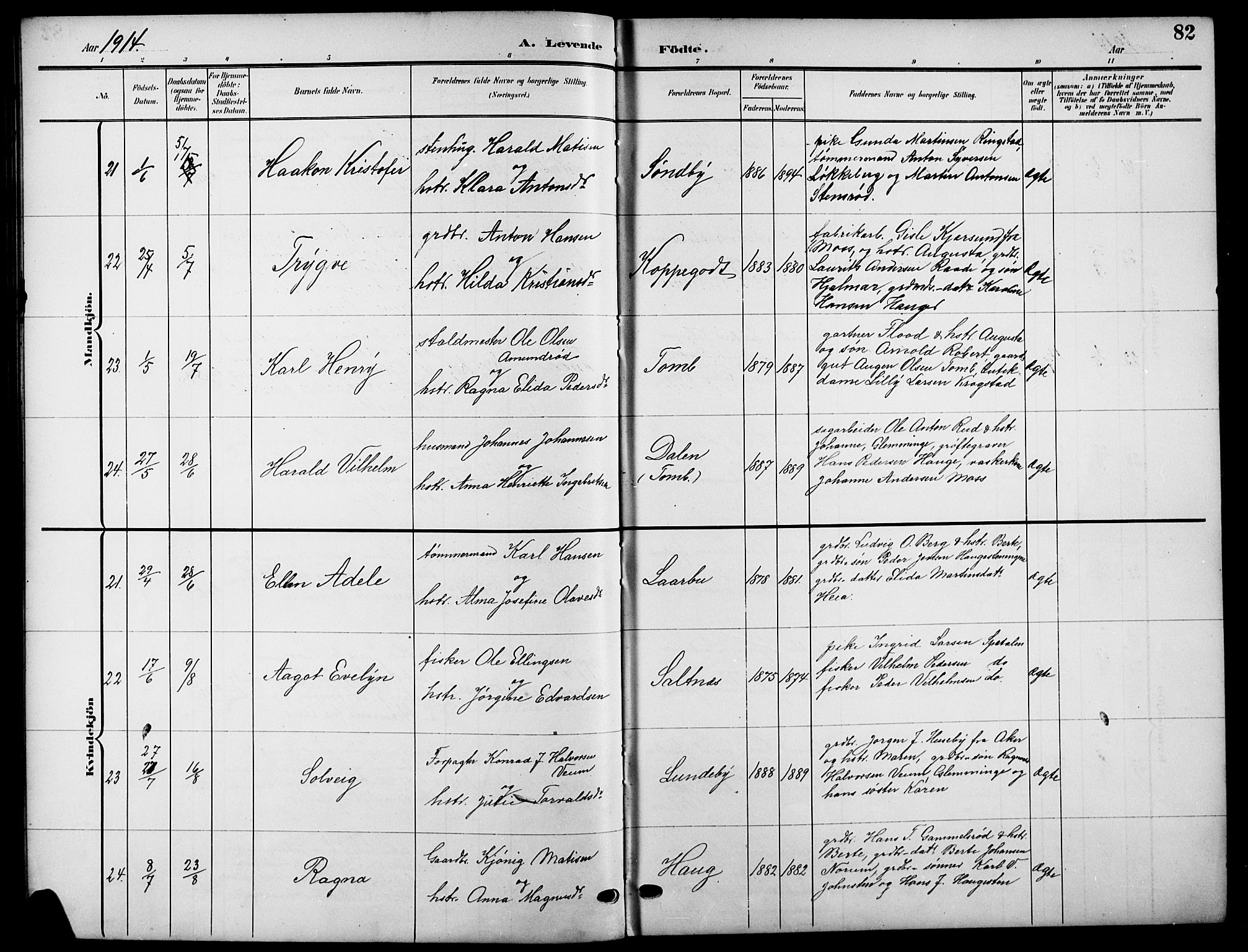 Råde prestekontor kirkebøker, AV/SAO-A-2009/G/Ga/L0001: Parish register (copy) no. 1, 1903-1925, p. 82