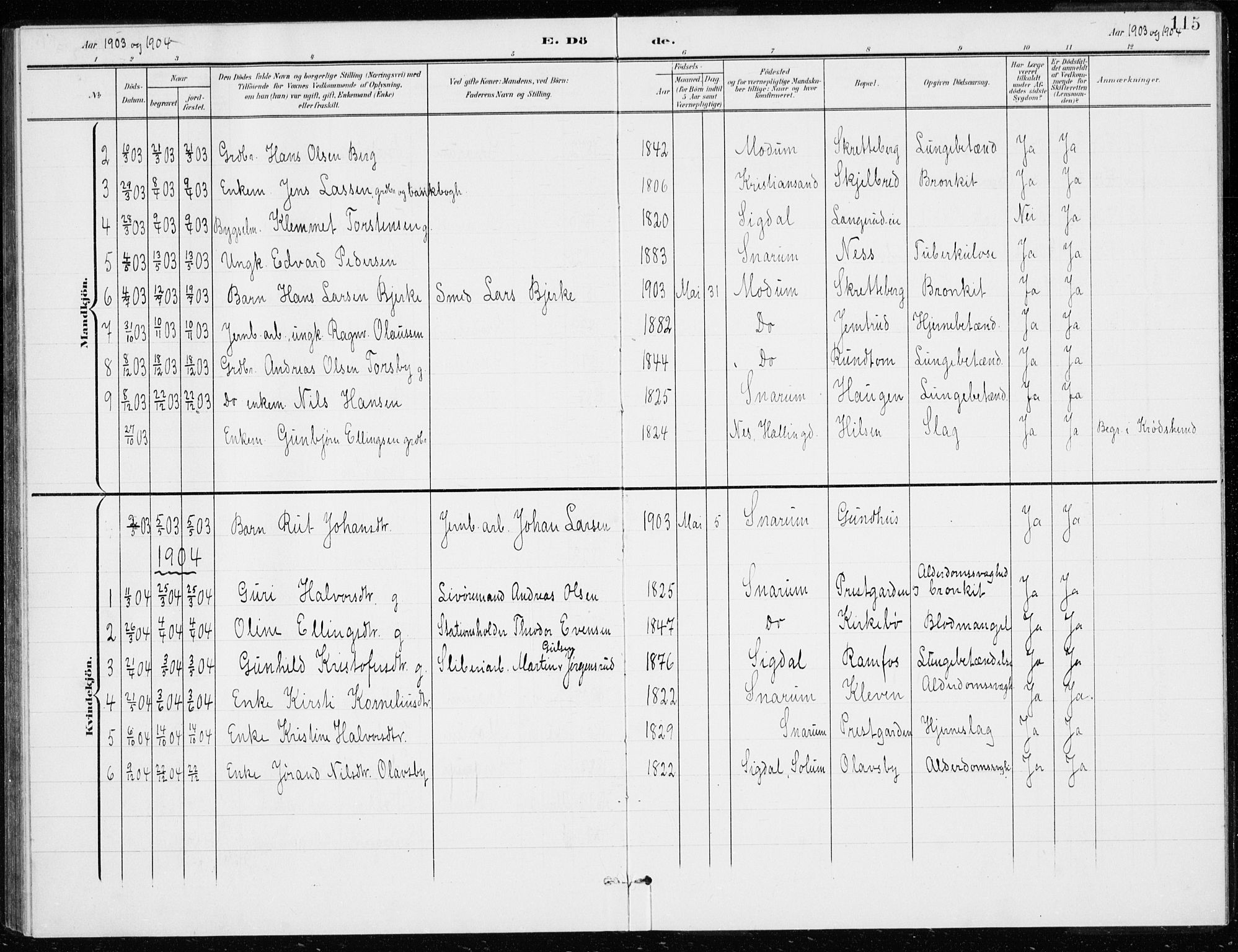 Modum kirkebøker, AV/SAKO-A-234/G/Gd/L0001: Parish register (copy) no. IV 1, 1901-1921, p. 115