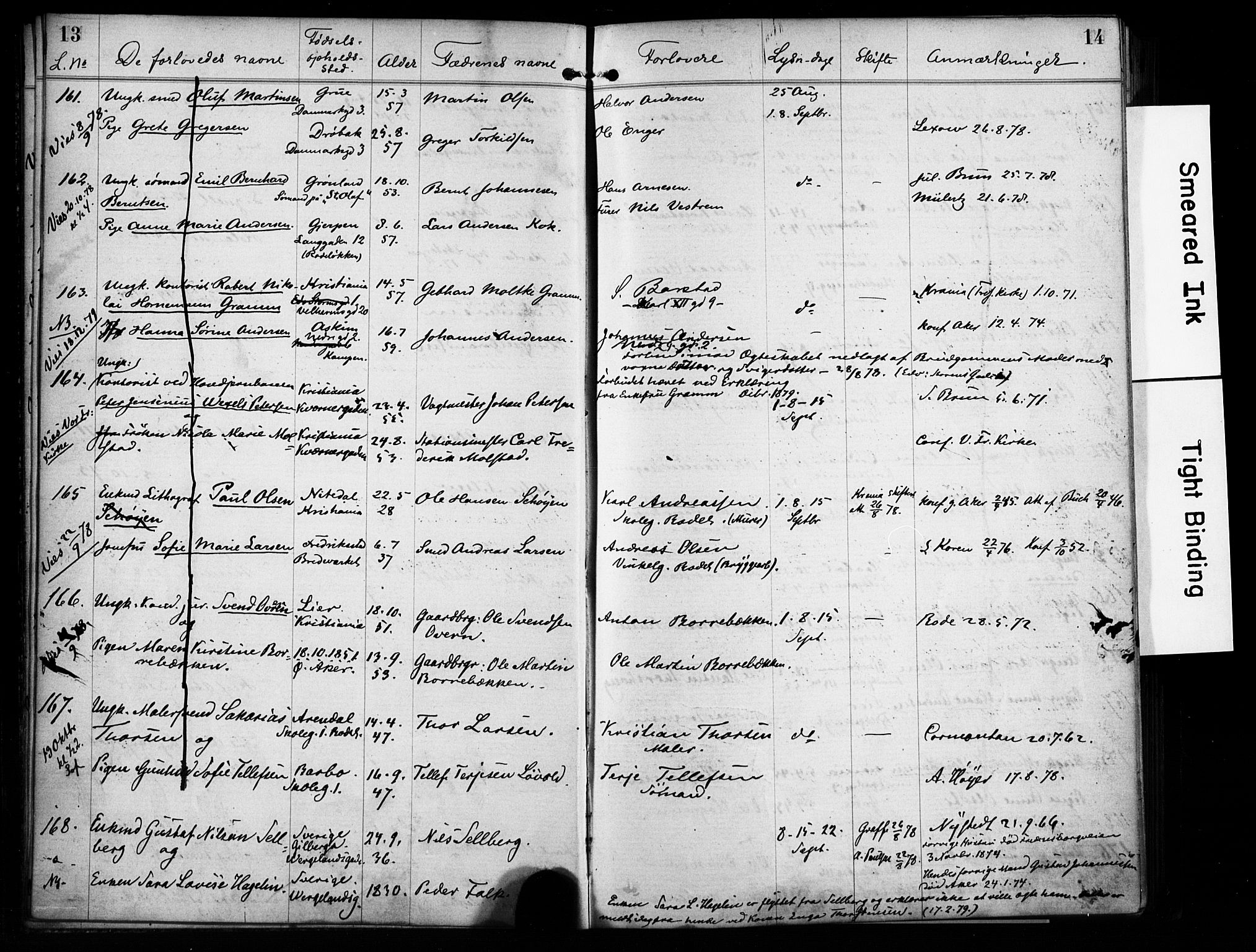 Østre Aker prestekontor Kirkebøker, SAO/A-10840/H/Ha/L0004: Banns register no. I 4, 1878-1901, p. 13-14