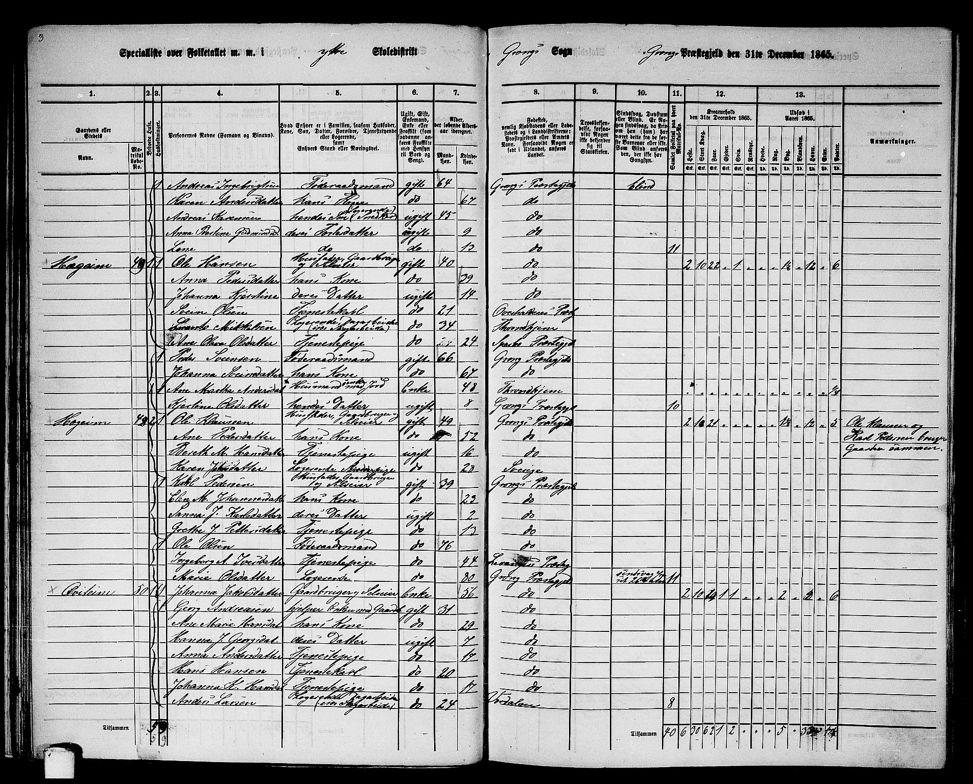 RA, 1865 census for Grong, 1865, p. 35