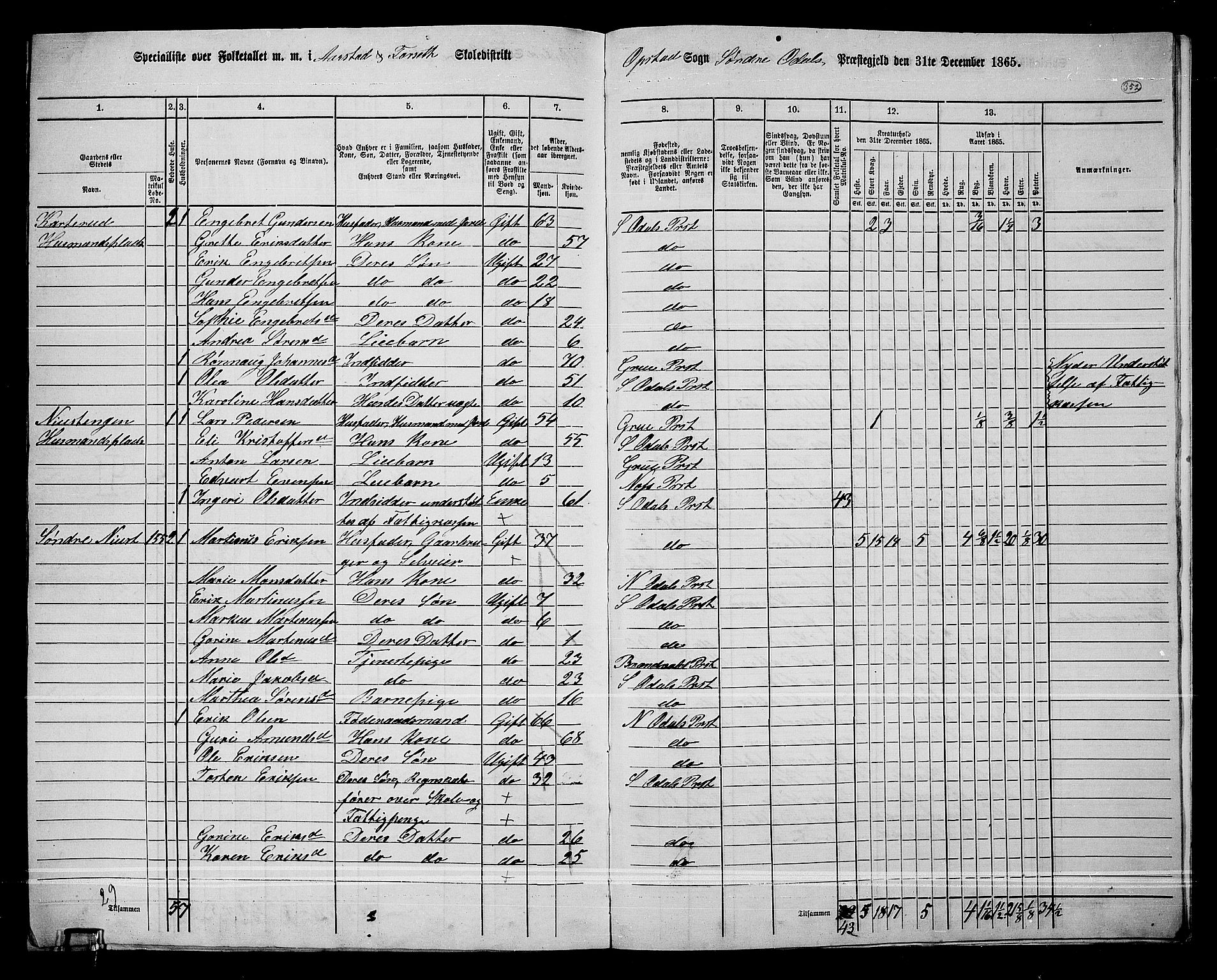 RA, 1865 census for Sør-Odal, 1865, p. 311