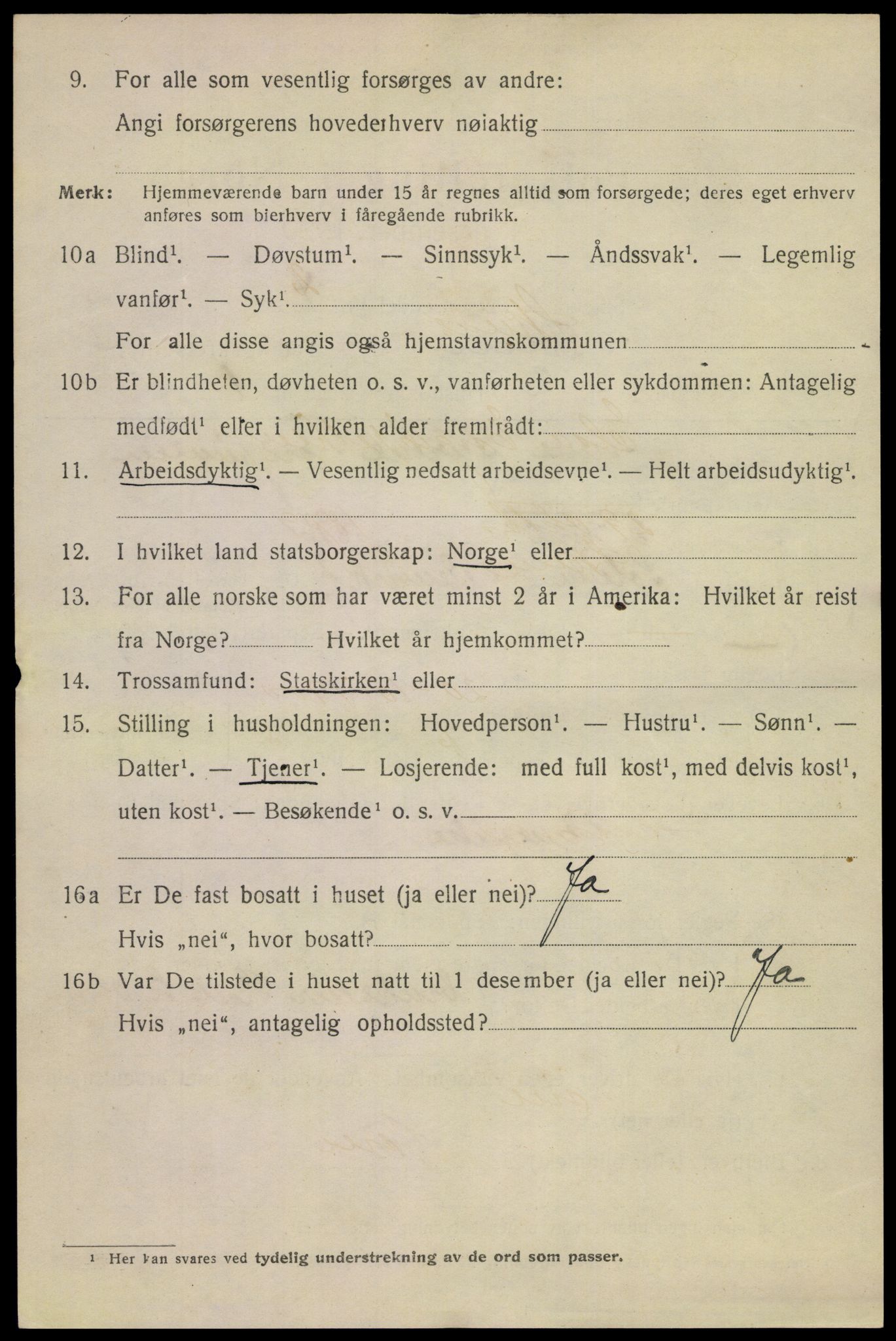 SAKO, 1920 census for Skien, 1920, p. 16835