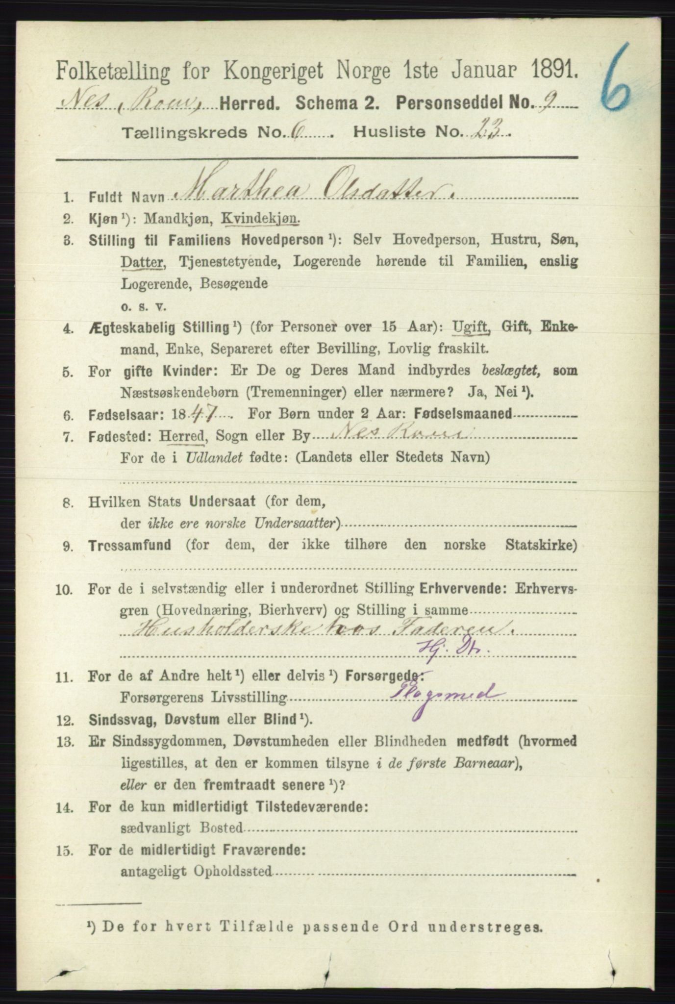 RA, 1891 census for 0236 Nes, 1891, p. 3516