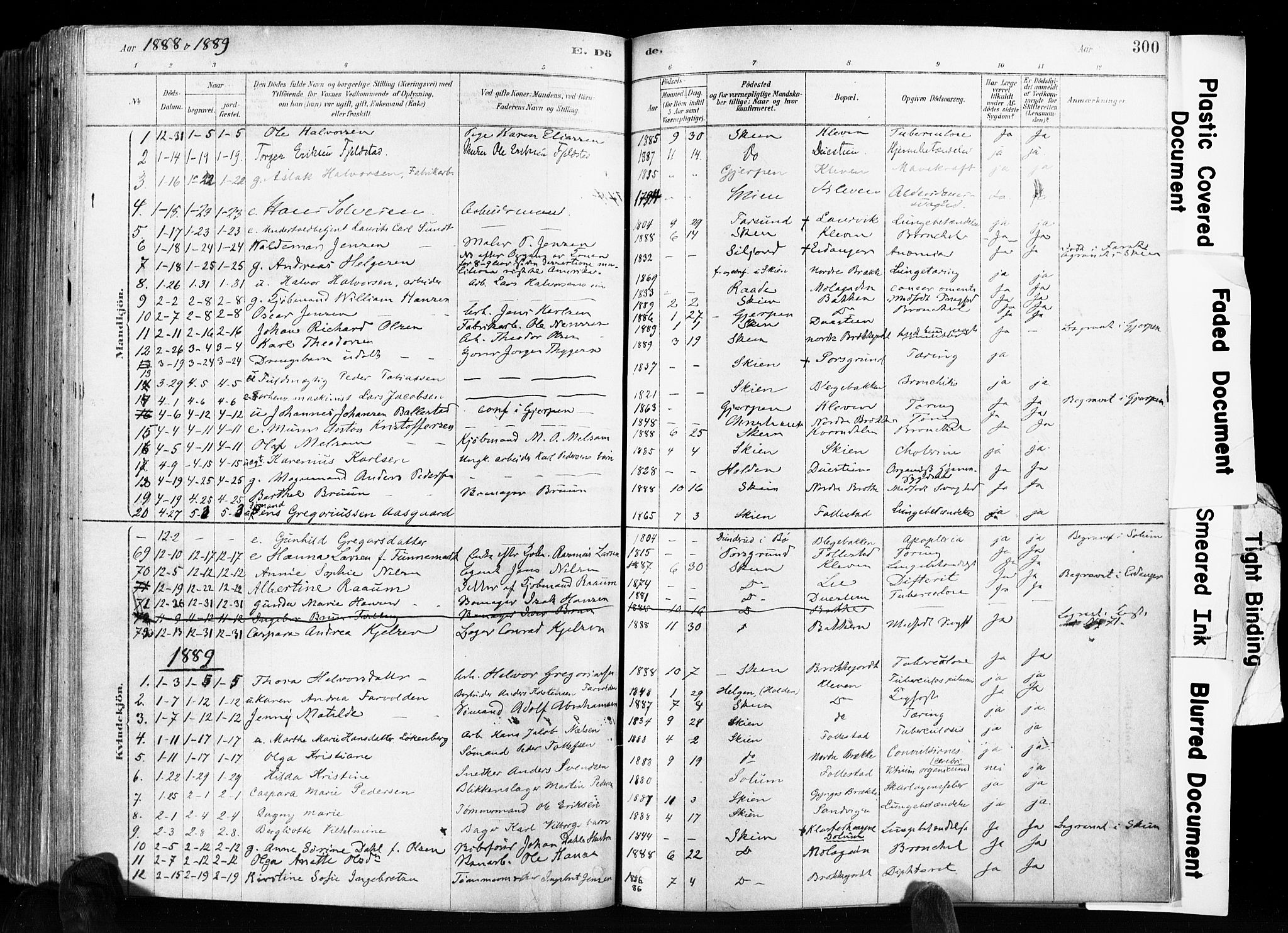 Skien kirkebøker, AV/SAKO-A-302/F/Fa/L0009: Parish register (official) no. 9, 1878-1890, p. 300