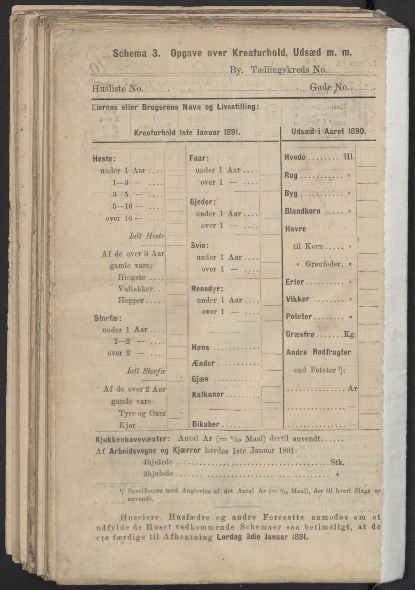 RA, 1891 Census for 1301 Bergen, 1891, p. 3781