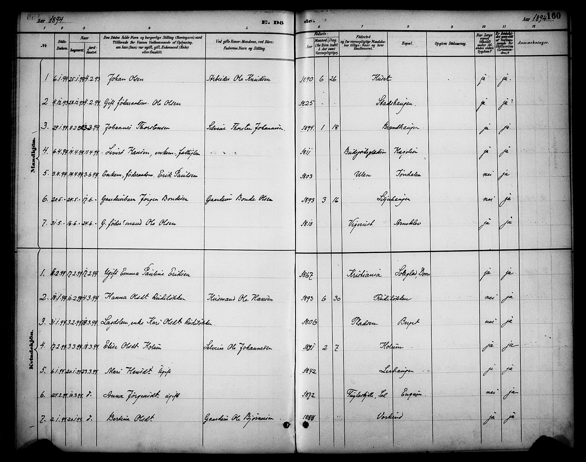 Dovre prestekontor, SAH/PREST-066/H/Ha/Haa/L0003: Parish register (official) no. 3, 1891-1901, p. 160