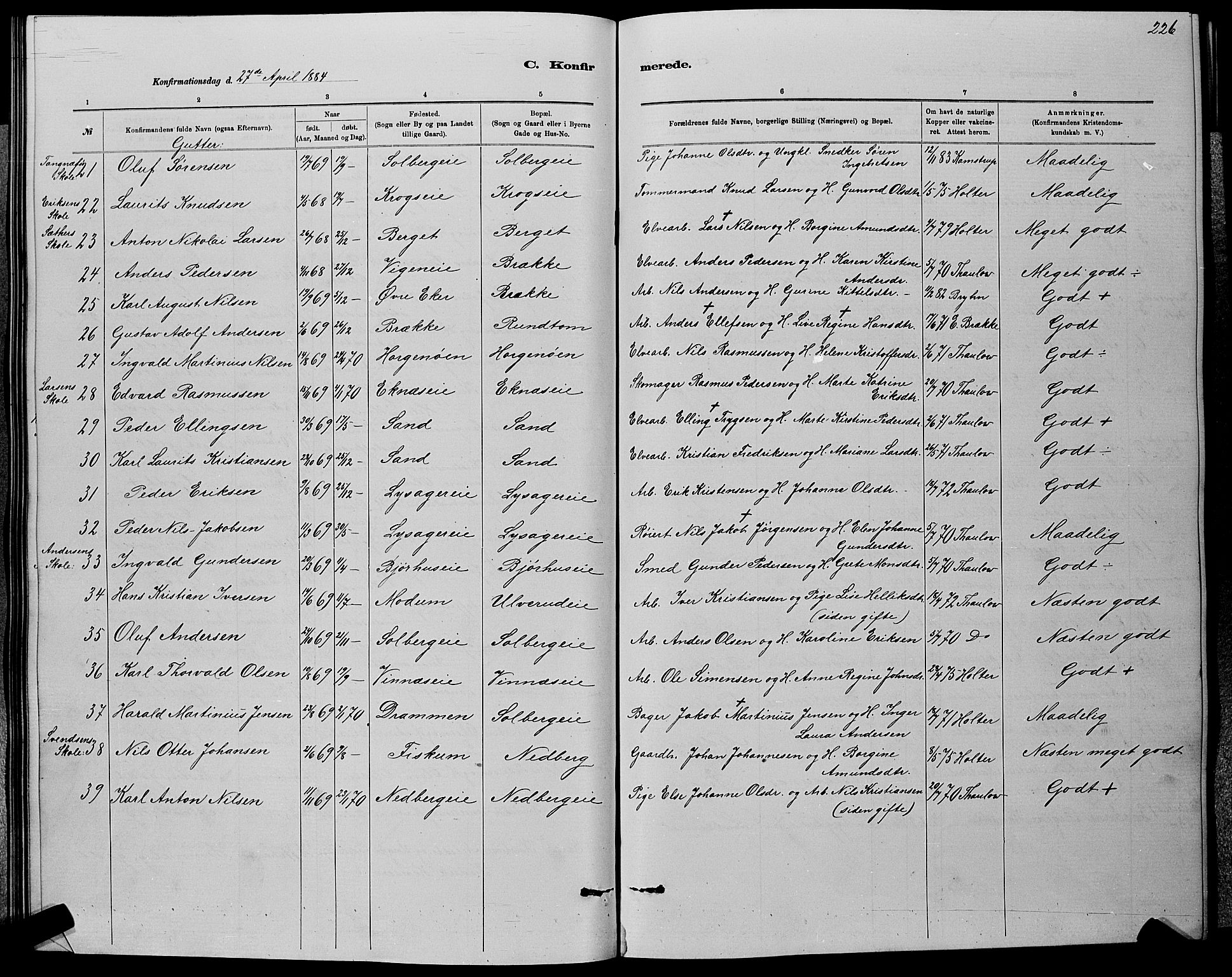 Nedre Eiker kirkebøker, AV/SAKO-A-612/G/Ga/L0002: Parish register (copy) no. 2, 1880-1896, p. 226