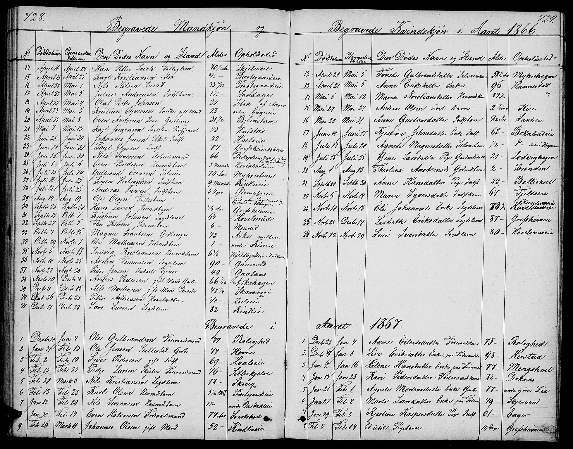 Nes prestekontor, Hedmark, SAH/PREST-020/L/La/L0005: Parish register (copy) no. 5, 1852-1889, p. 728-729