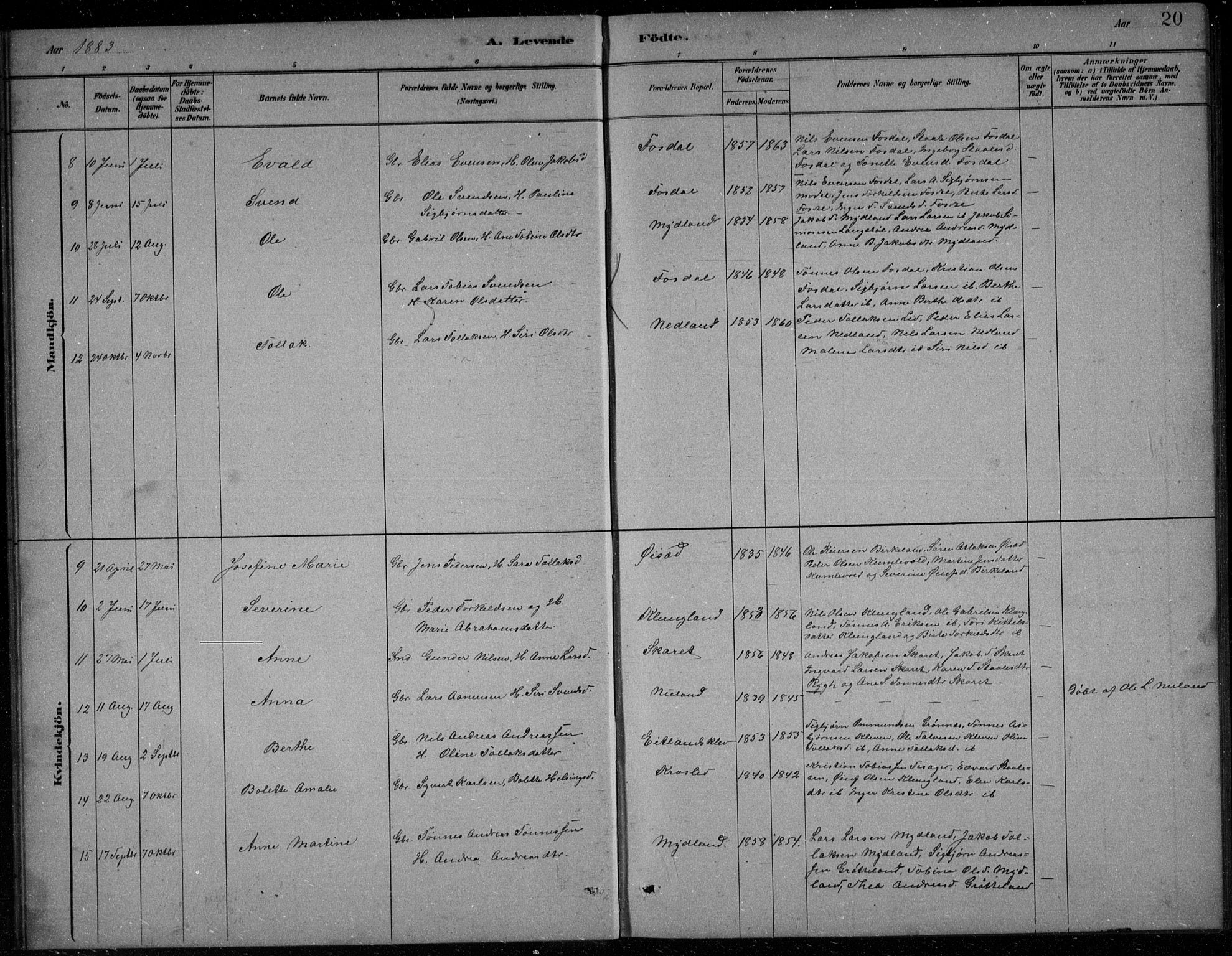 Bakke sokneprestkontor, AV/SAK-1111-0002/F/Fb/Fbb/L0003: Parish register (copy) no. B 3, 1878-1896, p. 20