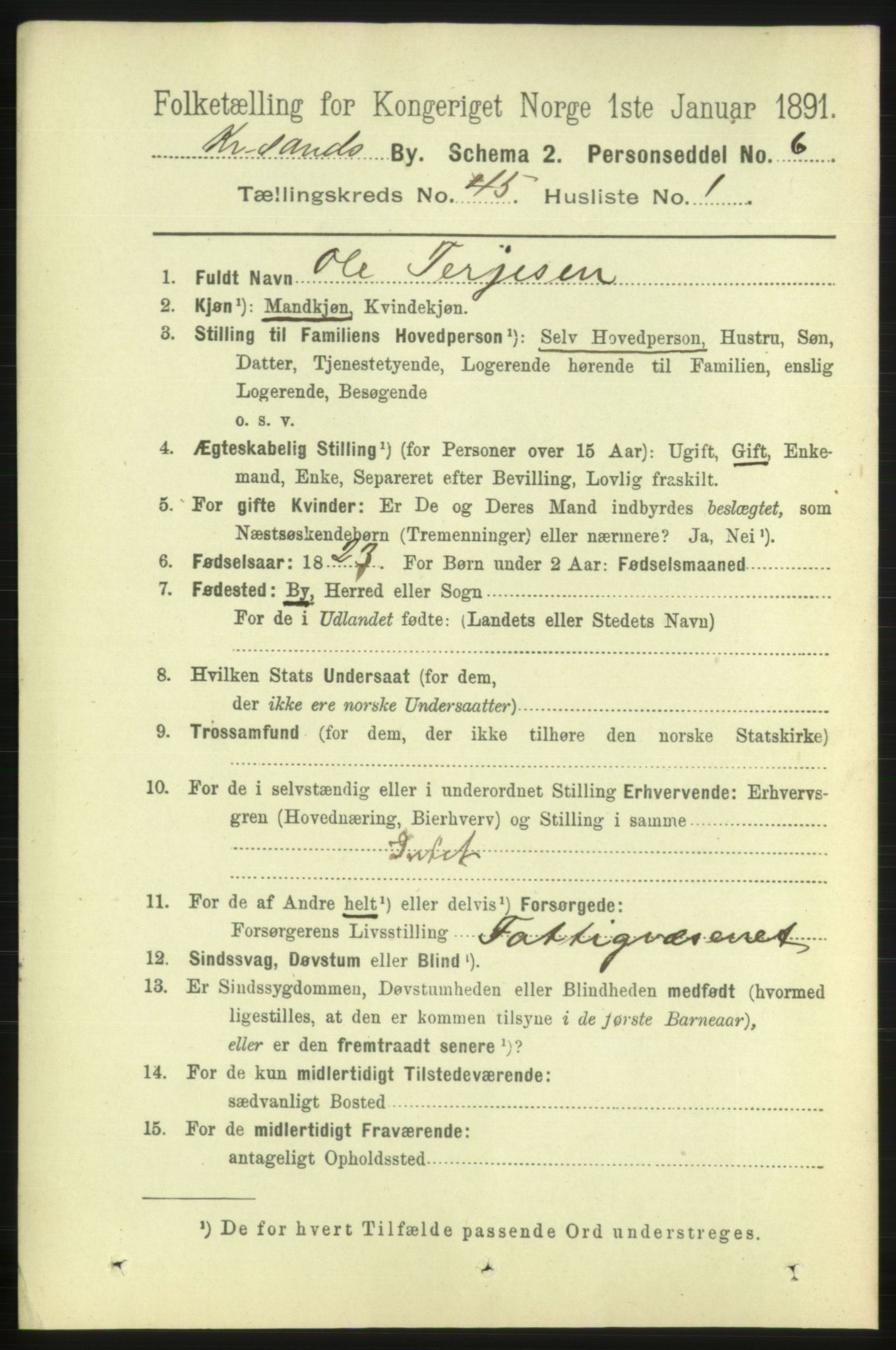 RA, 1891 census for 1001 Kristiansand, 1891, p. 13913