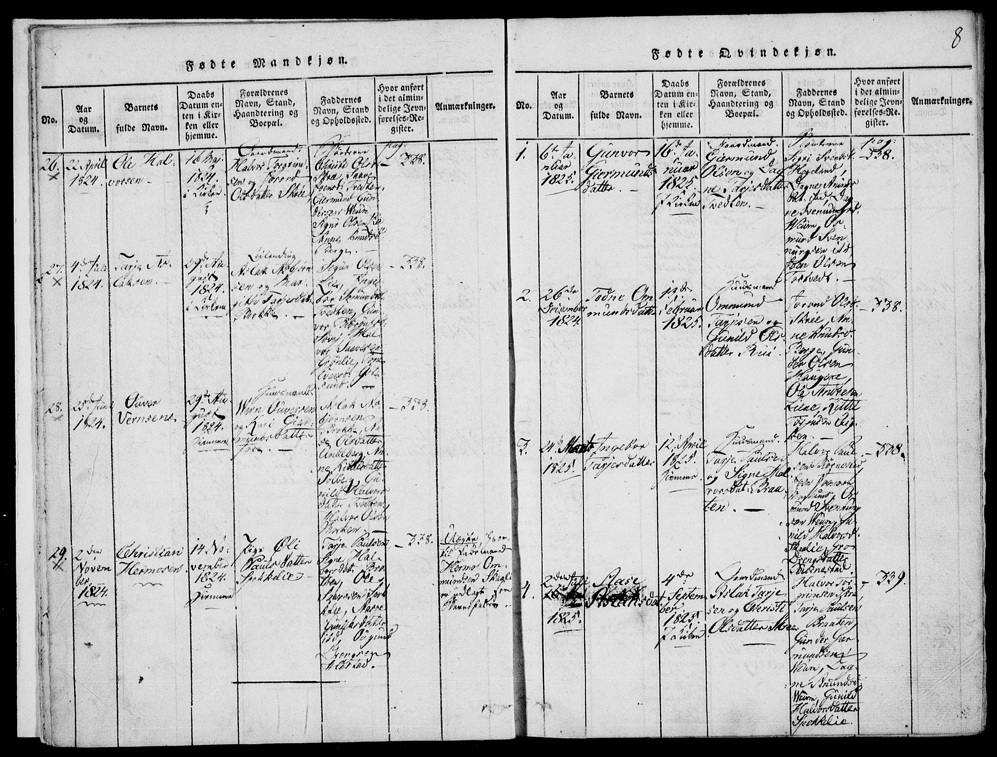 Fyresdal kirkebøker, SAKO/A-263/F/Fb/L0001: Parish register (official) no. II 1, 1815-1854, p. 8