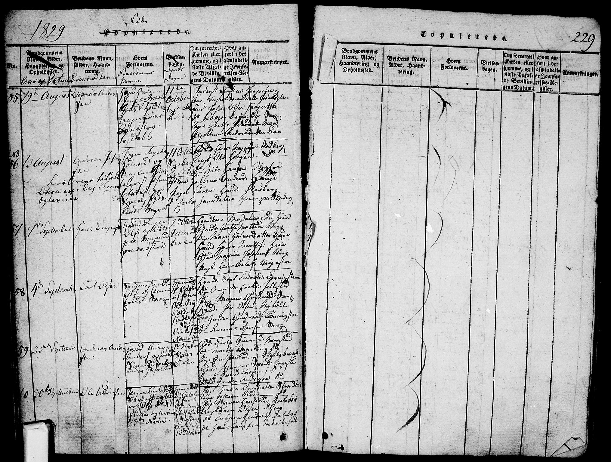Skjeberg prestekontor Kirkebøker, SAO/A-10923/G/Ga/L0001: Parish register (copy) no. I 1, 1815-1830, p. 229