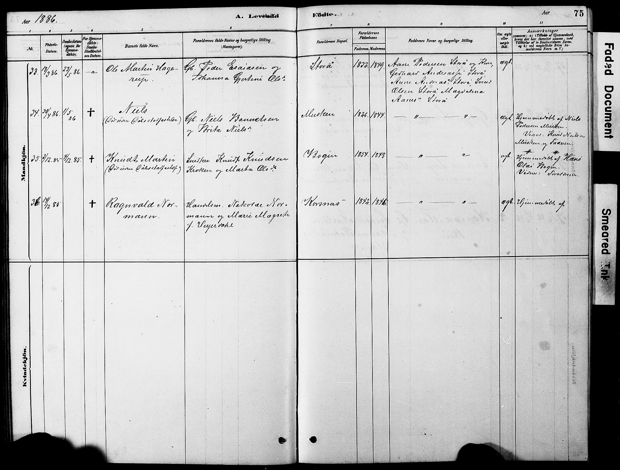 Ministerialprotokoller, klokkerbøker og fødselsregistre - Nordland, AV/SAT-A-1459/861/L0875: Parish register (copy) no. 861C01, 1879-1887, p. 75