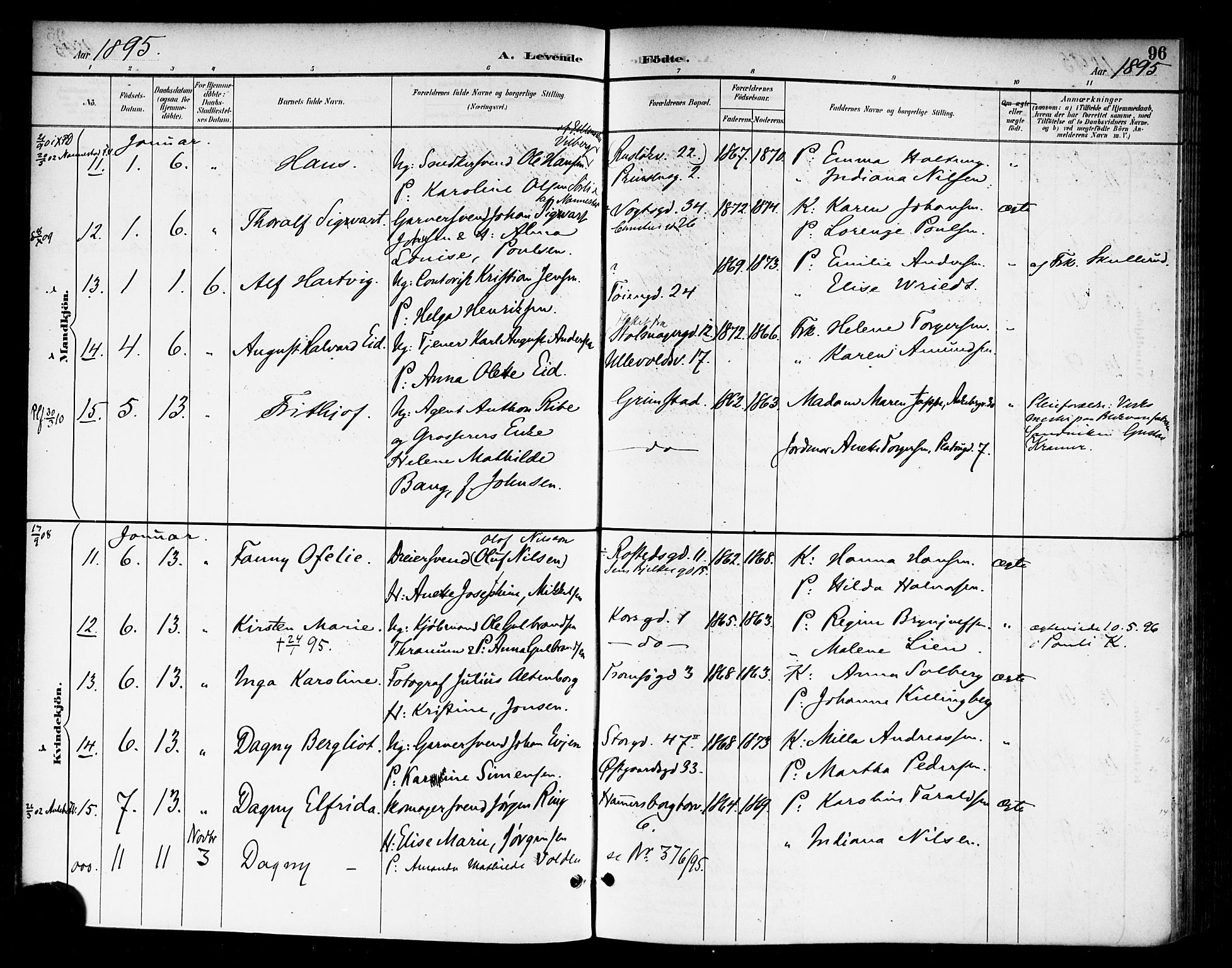 Rikshospitalet prestekontor Kirkebøker, SAO/A-10309b/F/L0009: Parish register (official) no. 9, 1894-1897, p. 96