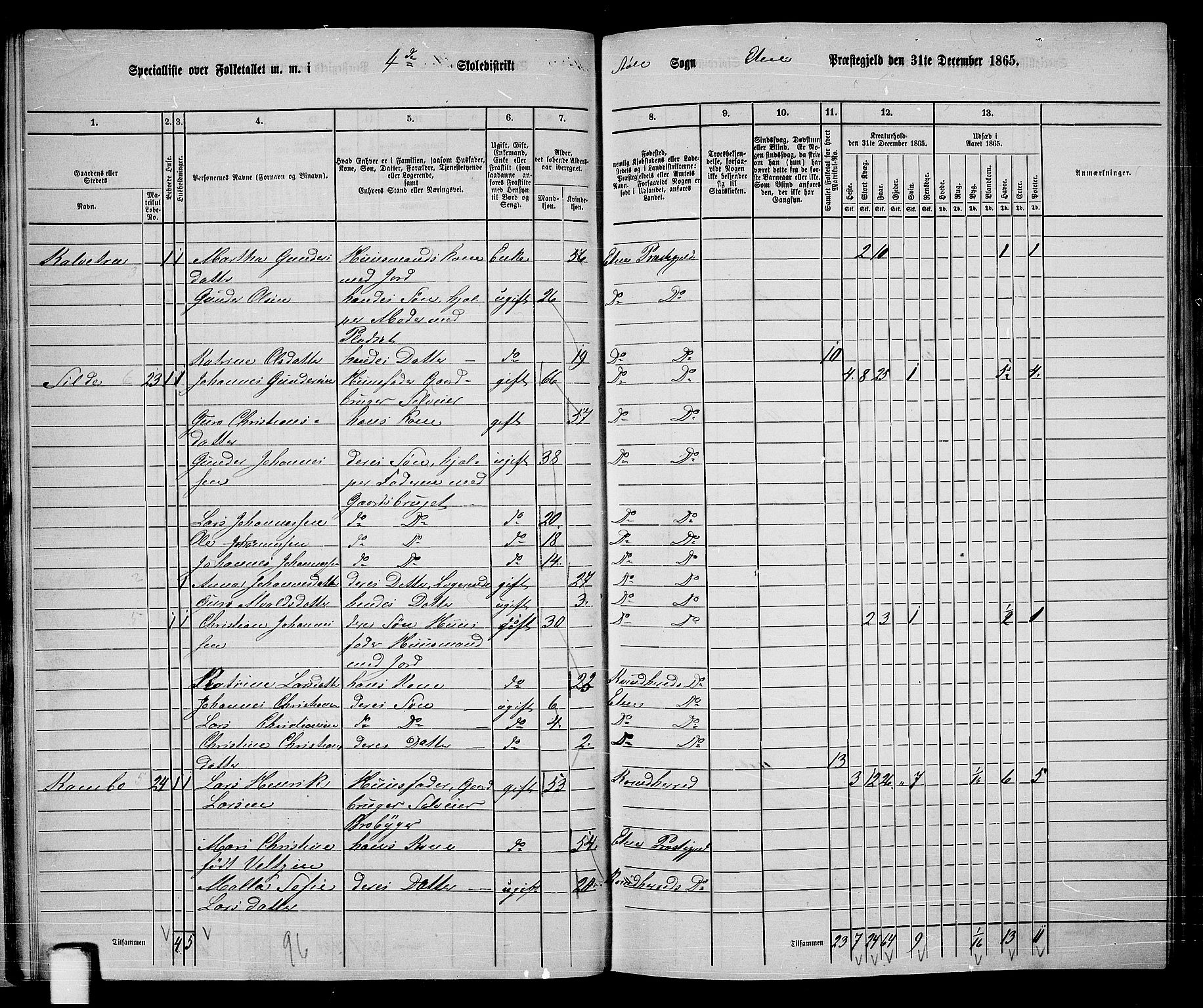 RA, 1865 census for Etne, 1865, p. 30