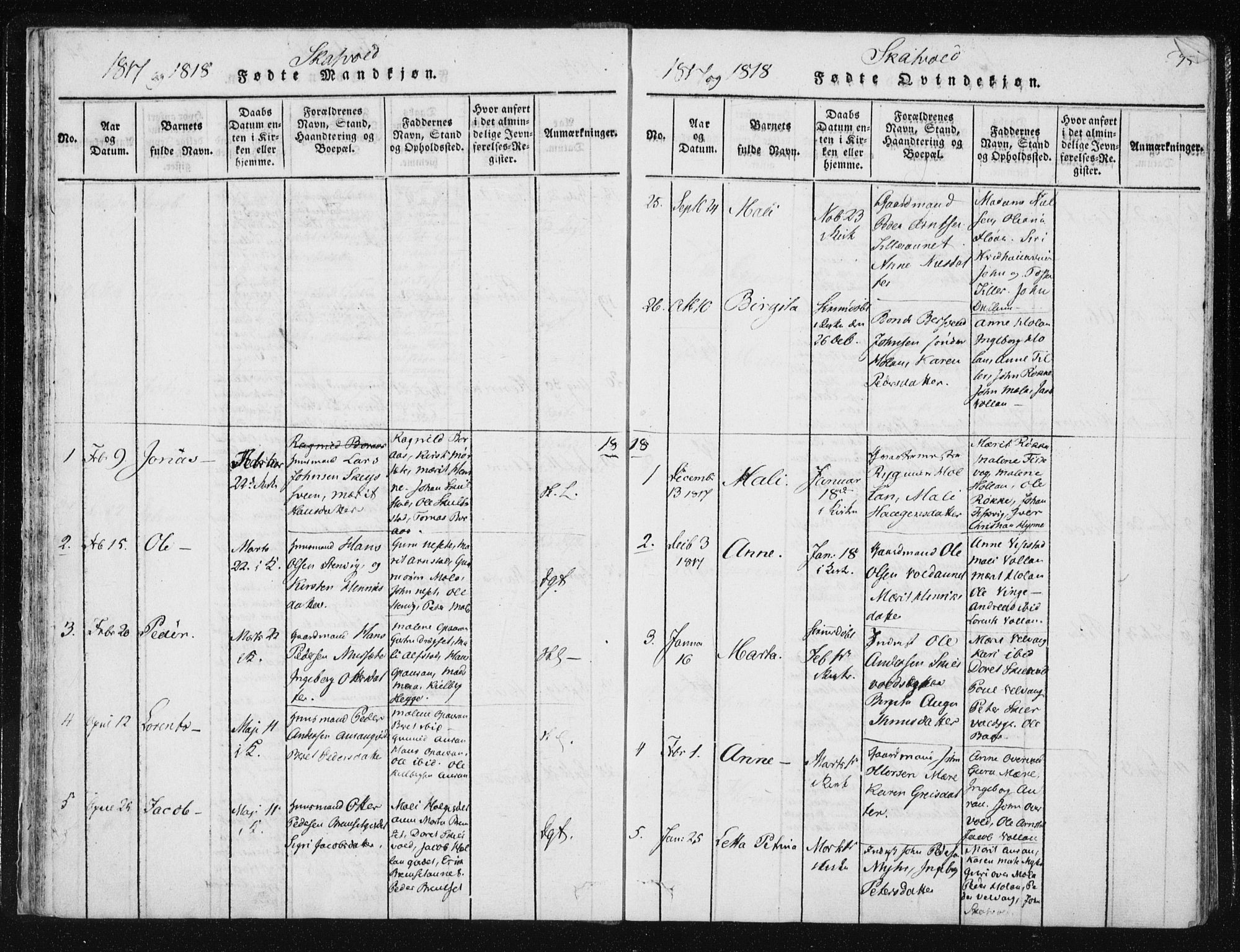 Ministerialprotokoller, klokkerbøker og fødselsregistre - Nord-Trøndelag, SAT/A-1458/709/L0061: Parish register (official) no. 709A08 /2, 1815-1819, p. 35