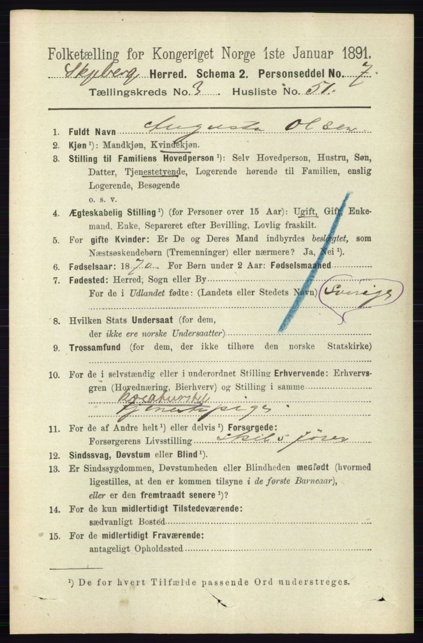 RA, 1891 census for 0115 Skjeberg, 1891, p. 1797